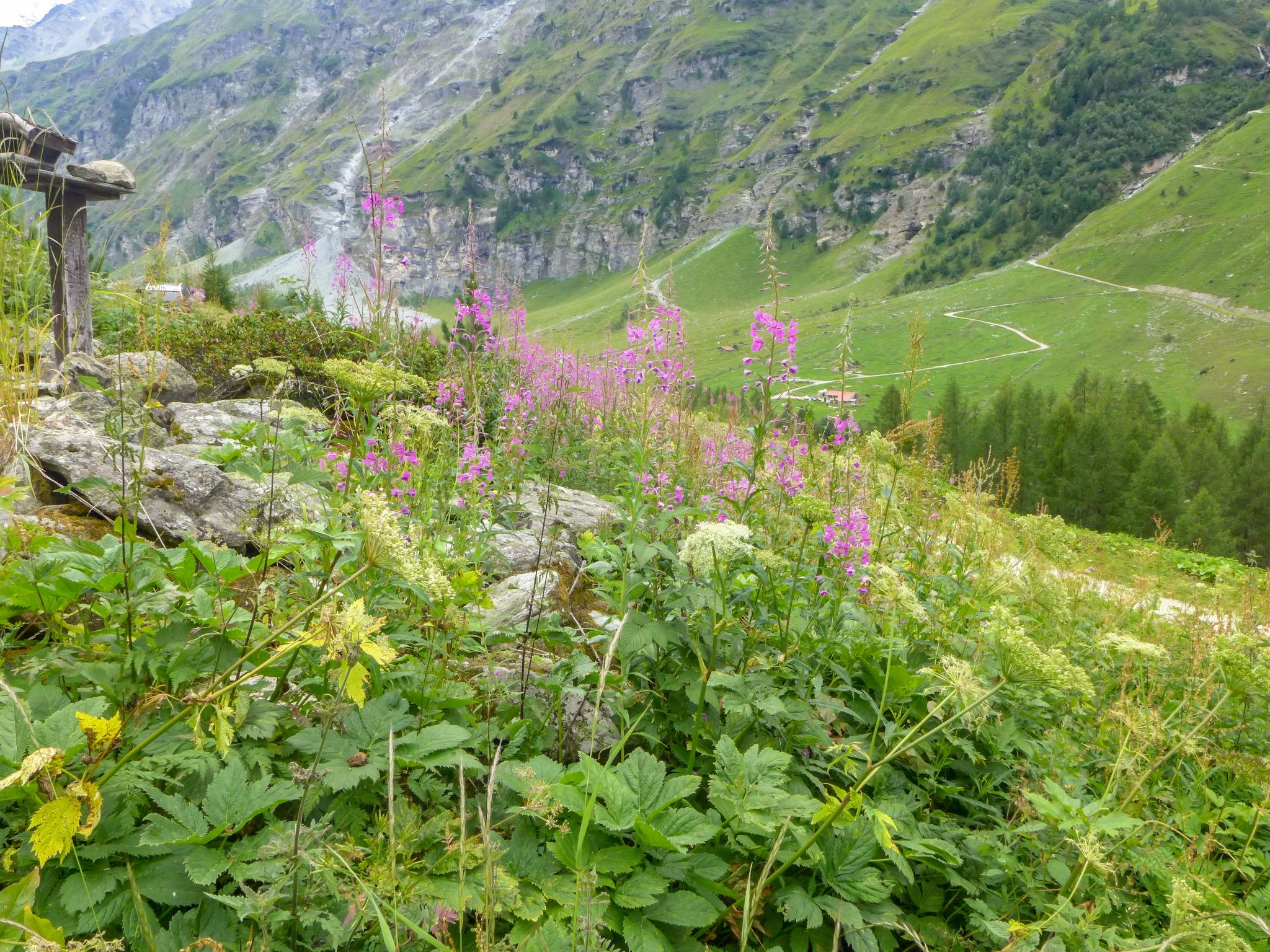 Photo 15 - Maison de 3 chambres à Anniviers avec jardin et vues sur la montagne