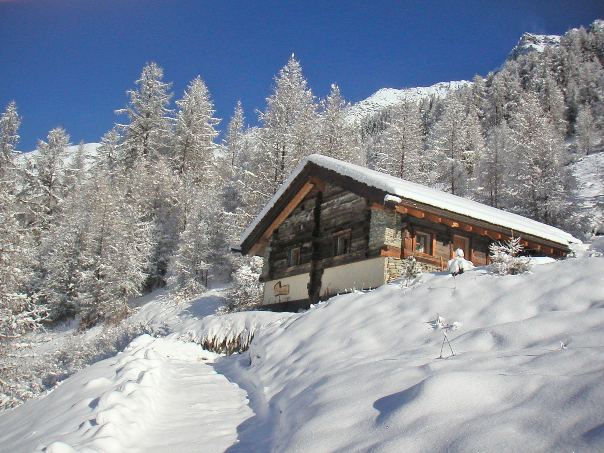 Photo 23 - Maison de 3 chambres à Anniviers avec jardin et vues sur la montagne