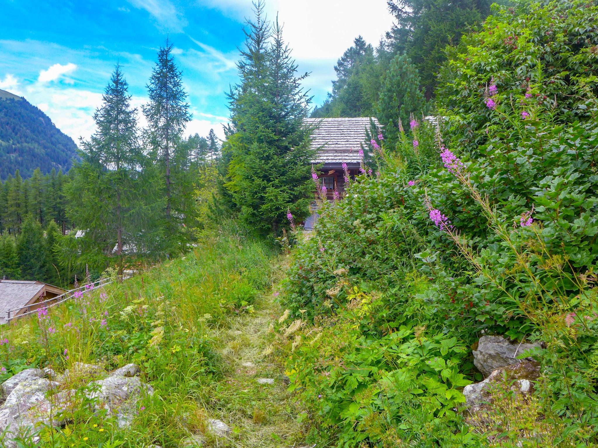 Photo 17 - Maison de 3 chambres à Anniviers avec jardin et vues sur la montagne