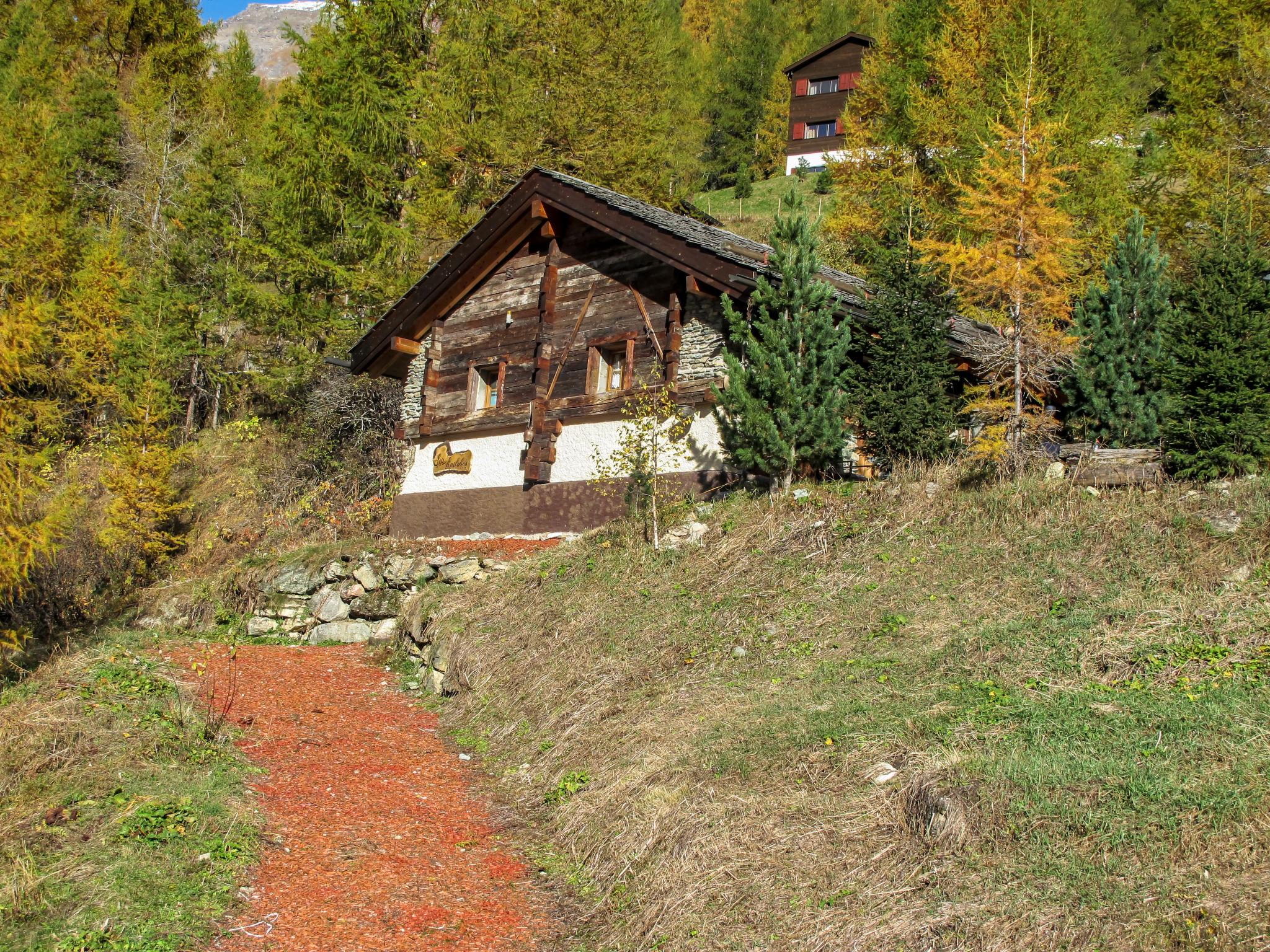 Photo 1 - Maison de 3 chambres à Anniviers avec jardin et vues sur la montagne