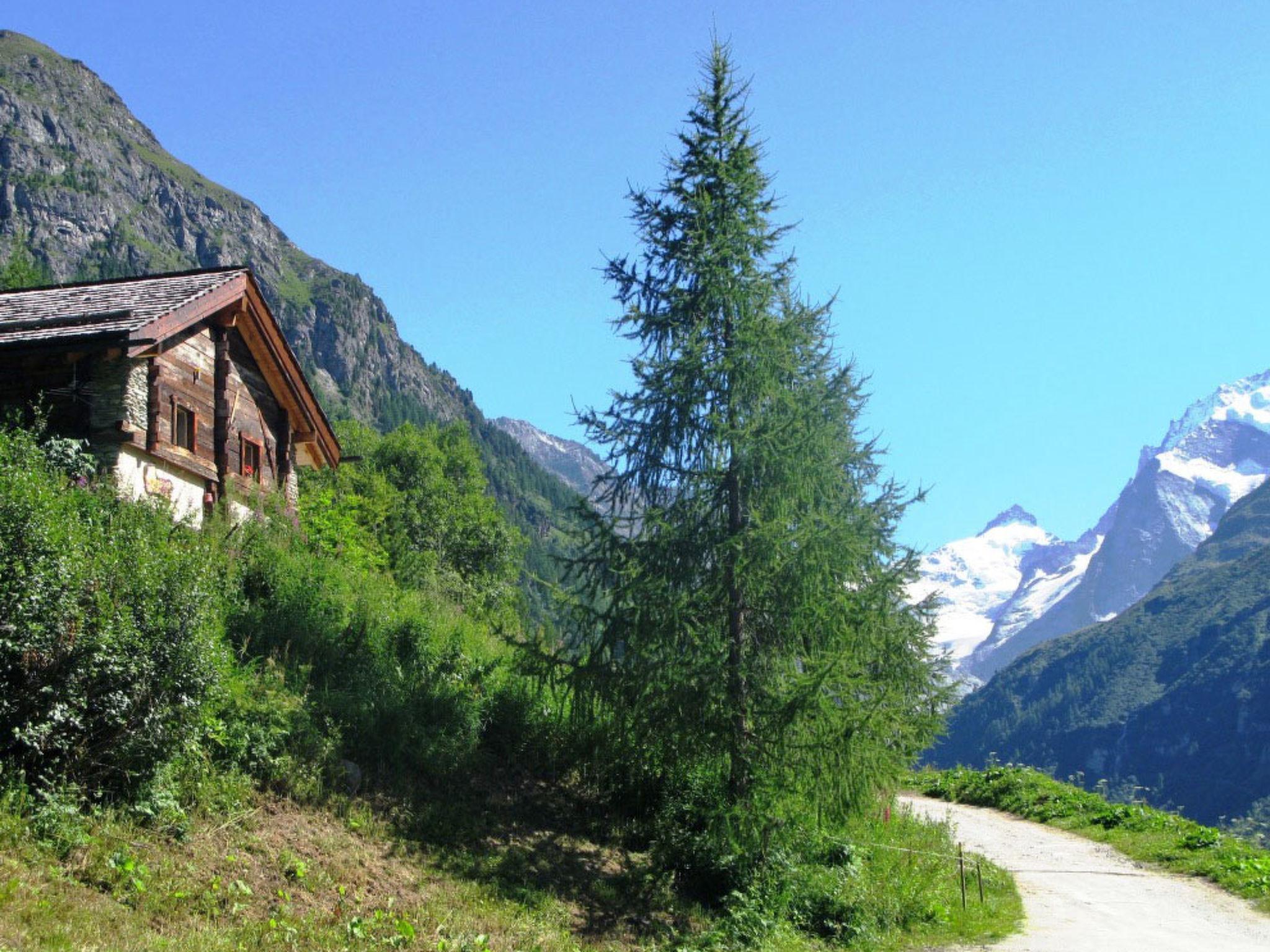 Photo 18 - Maison de 3 chambres à Anniviers avec jardin et vues sur la montagne