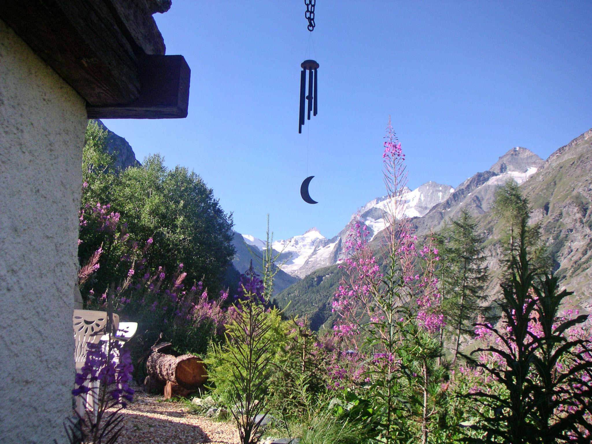 Photo 5 - Maison de 3 chambres à Anniviers avec jardin et vues sur la montagne