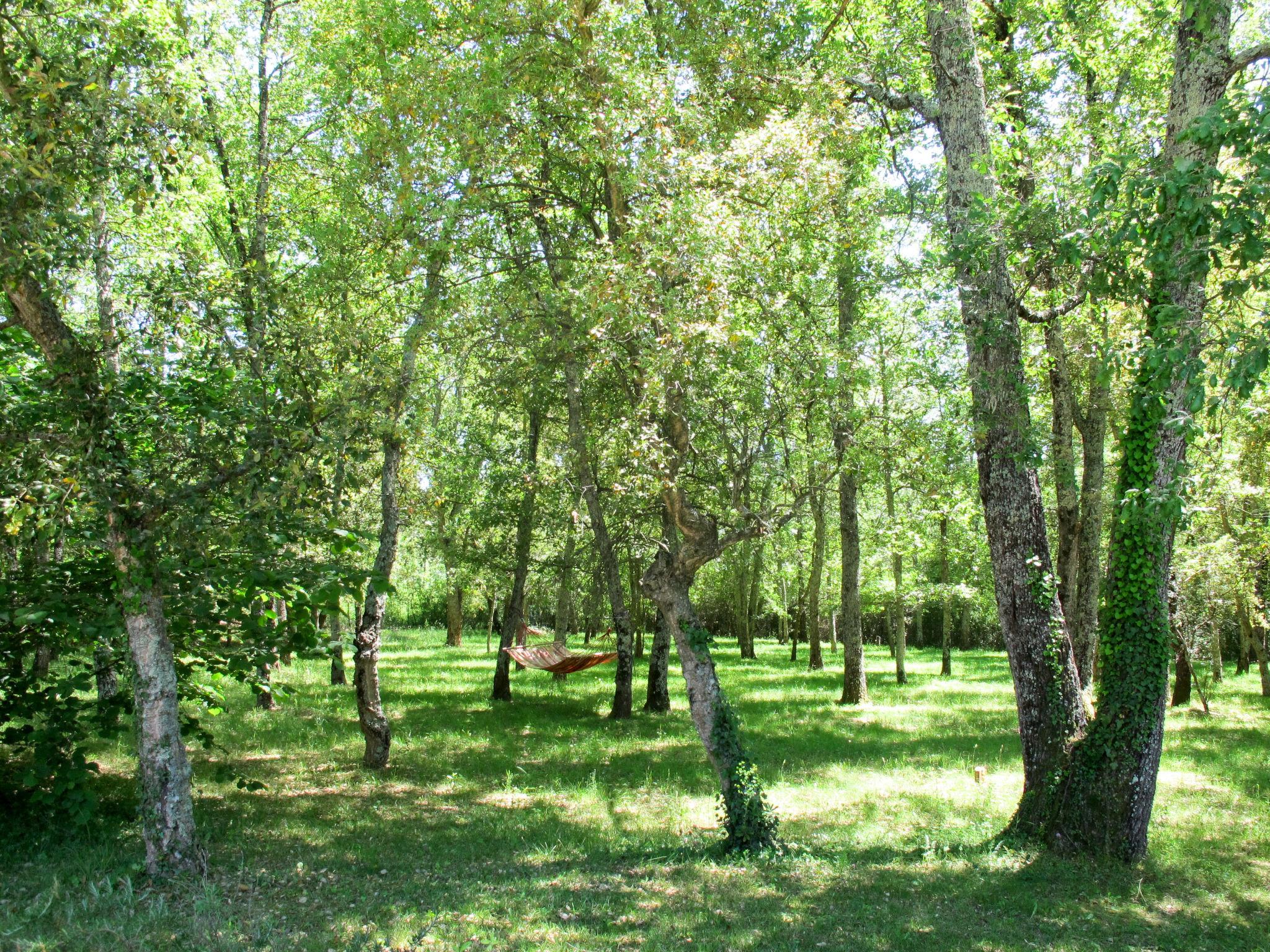 Foto 26 - Casa de 4 quartos em Bagnols-en-Forêt com piscina privada e jardim