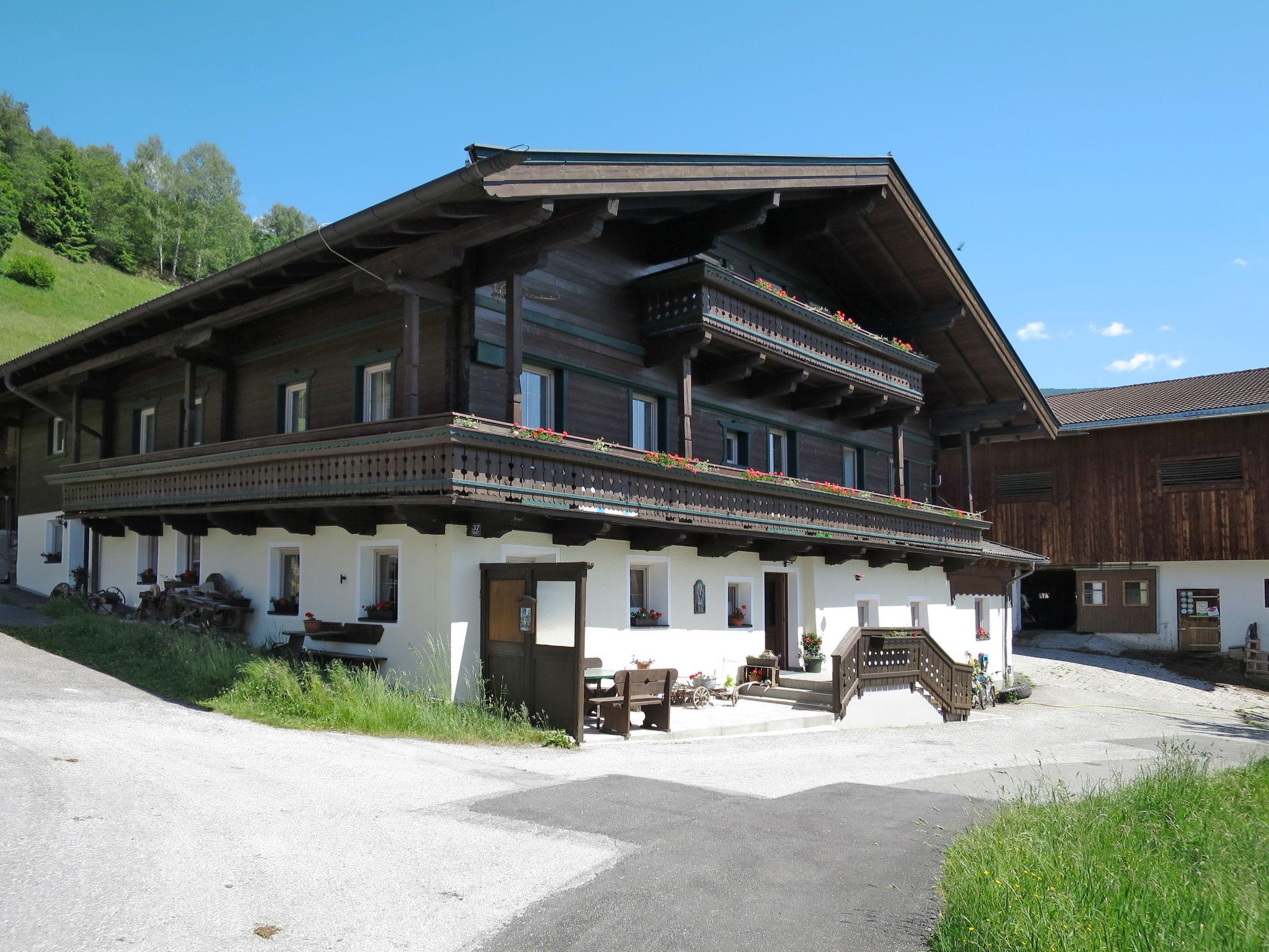 Foto 1 - Appartamento con 3 camere da letto a Piesendorf con terrazza e vista sulle montagne