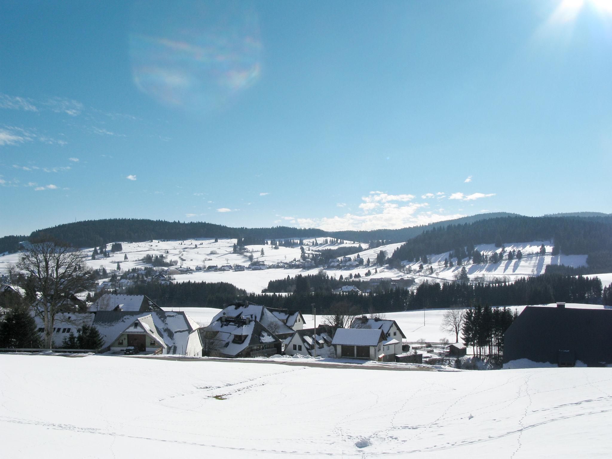 Foto 30 - Apartamento de 2 quartos em Bernau im Schwarzwald com terraço e vista para a montanha