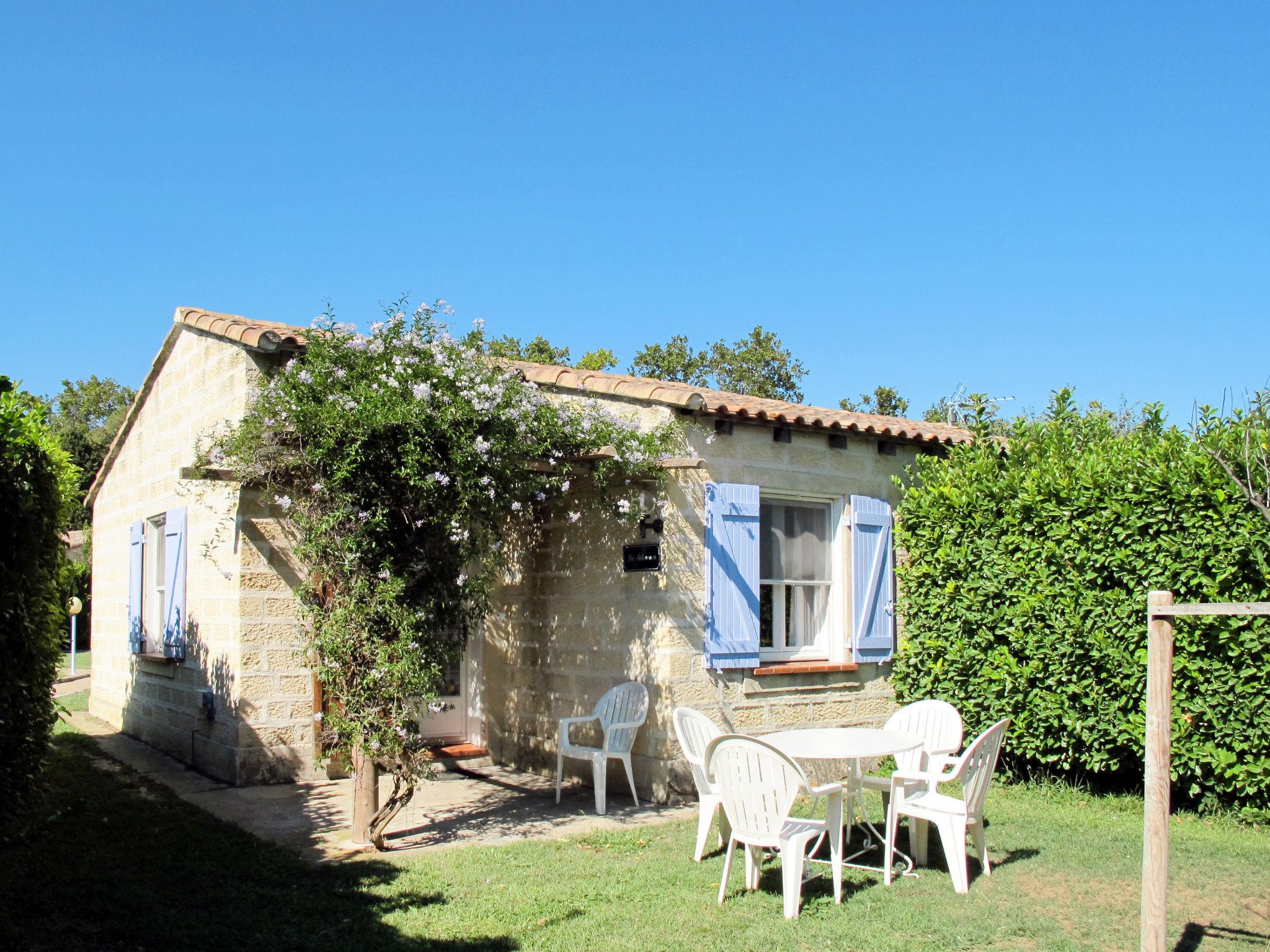 Foto 20 - Casa con 2 camere da letto a Arles con piscina e terrazza