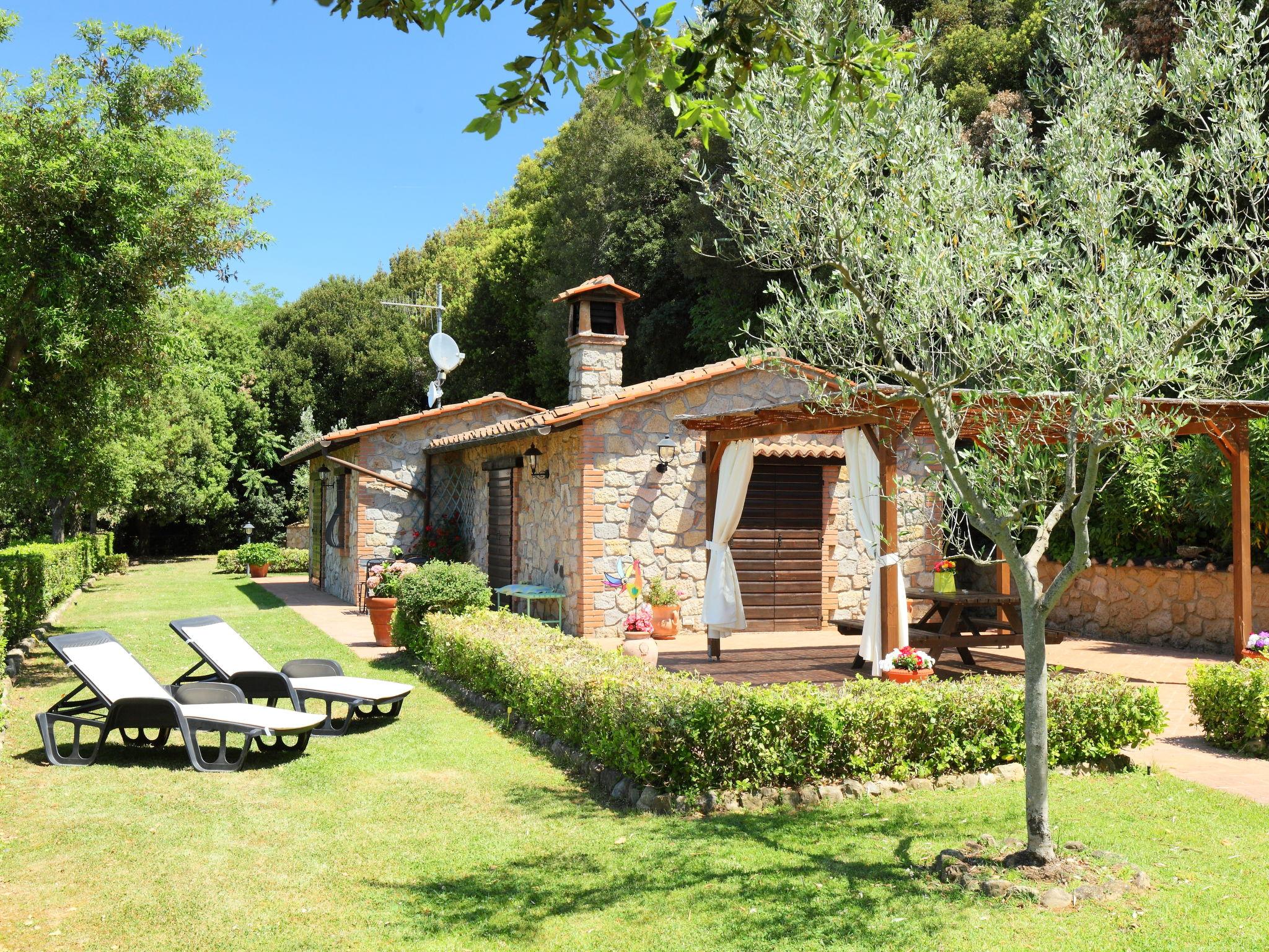 Foto 17 - Casa de 2 habitaciones en Roccastrada con jardín
