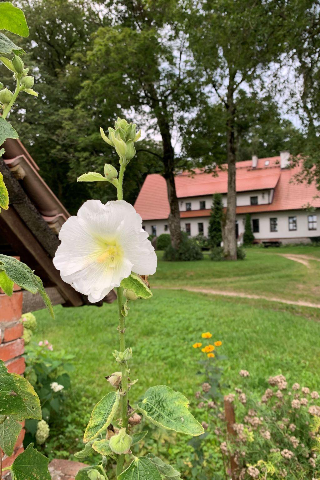 Foto 57 - Casa de 3 quartos em Kowale Oleckie com jardim e terraço