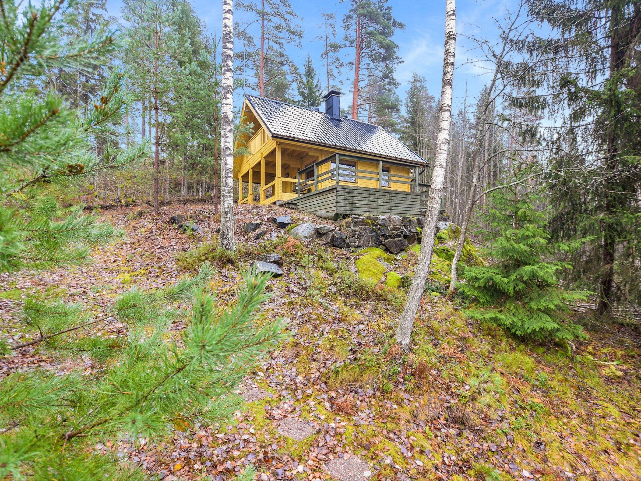 Foto 24 - Casa de 1 habitación en Raseborg con sauna