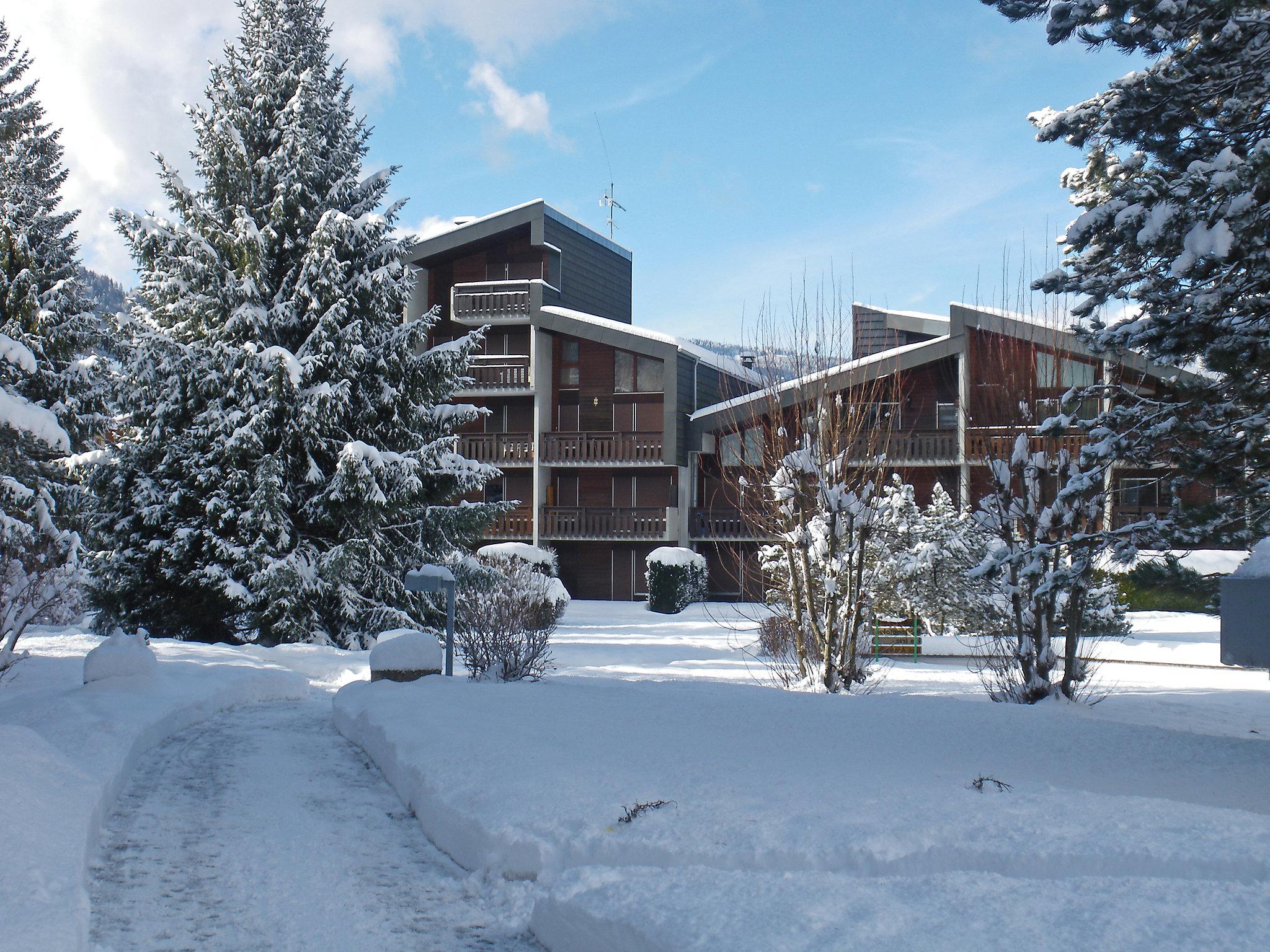 Foto 5 - Apartamento de 1 quarto em Samoëns com vista para a montanha