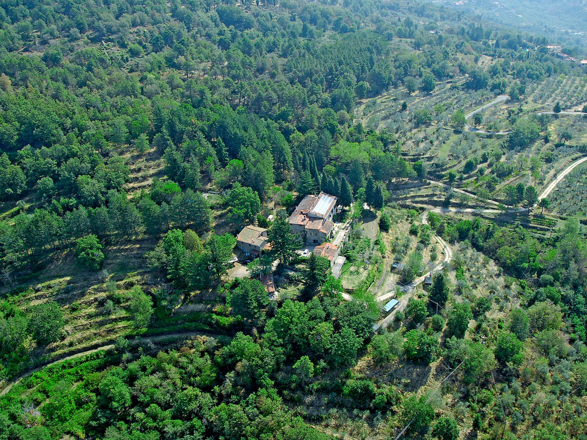 Foto 30 - Haus mit 3 Schlafzimmern in Castelfranco Piandiscò mit schwimmbad und garten