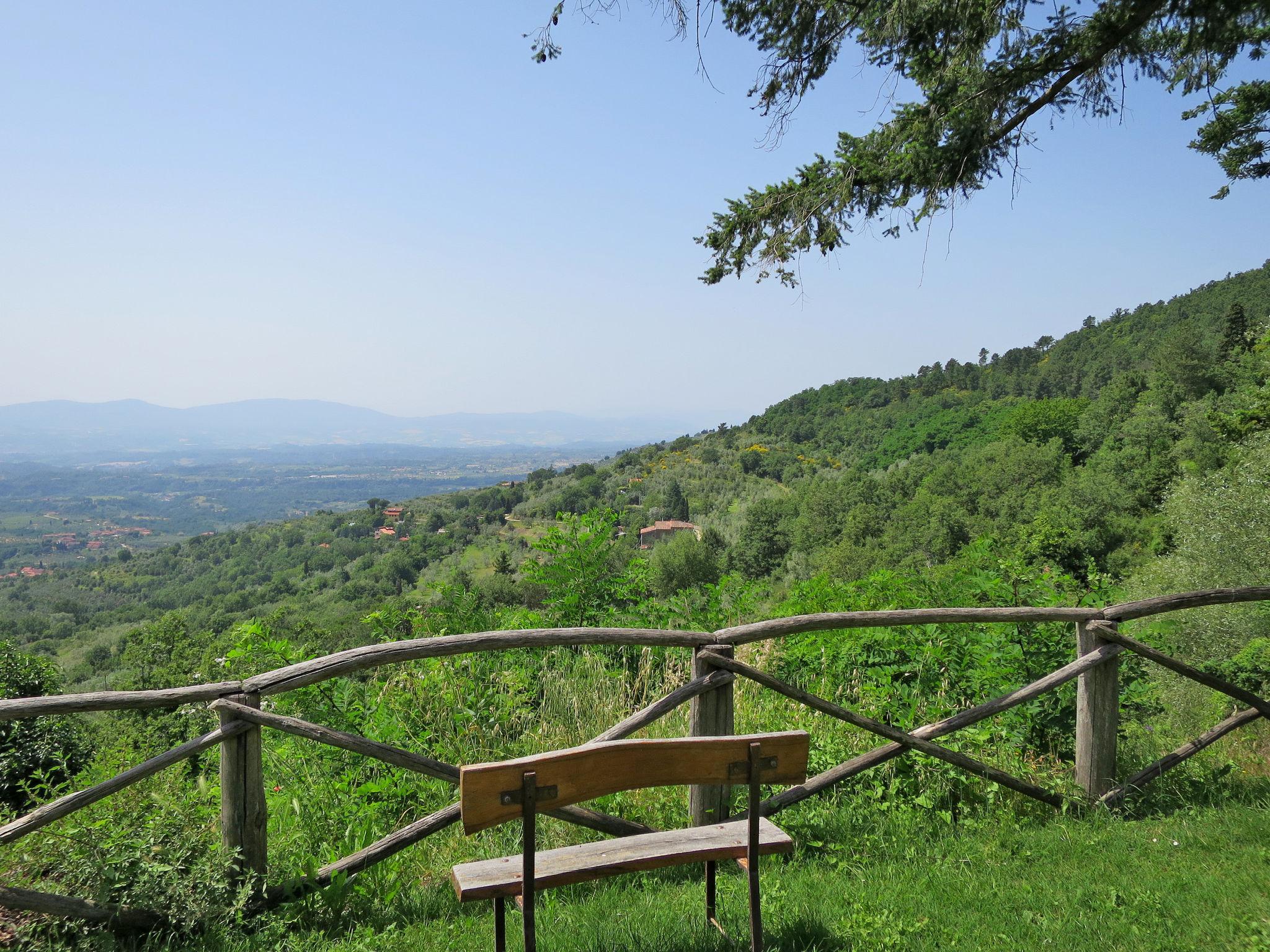 Photo 18 - 1 bedroom Apartment in Castelfranco Piandiscò with swimming pool and garden