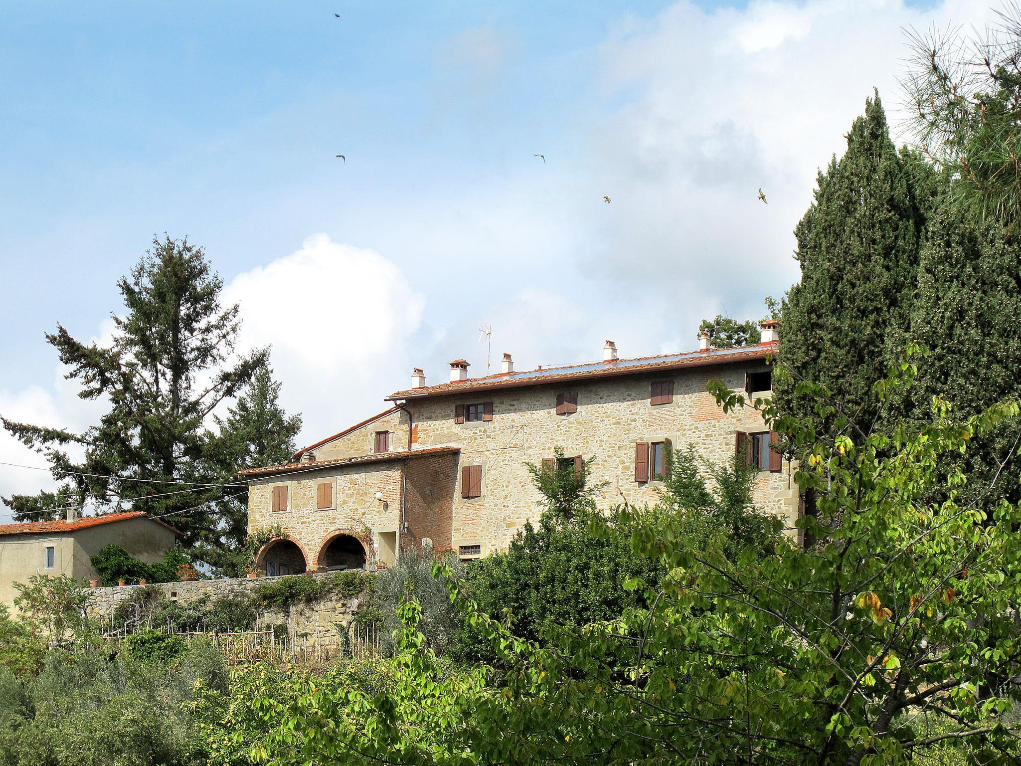 Photo 29 - Maison de 3 chambres à Castelfranco Piandiscò avec piscine et jardin