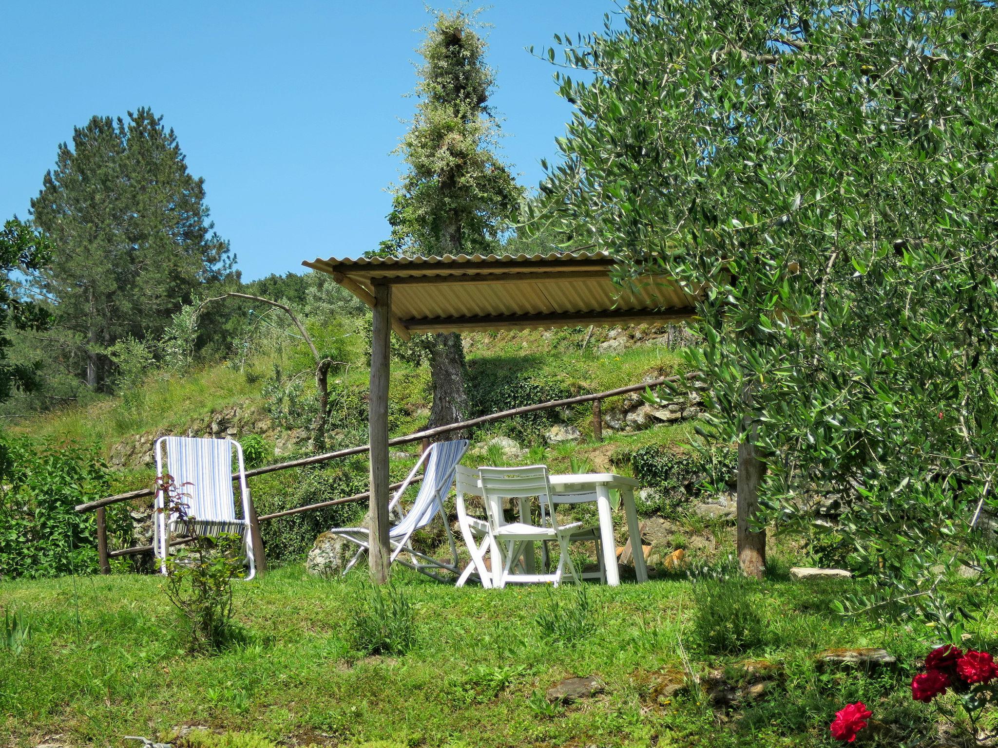 Foto 4 - Apartamento de 1 quarto em Castelfranco Piandiscò com piscina e jardim