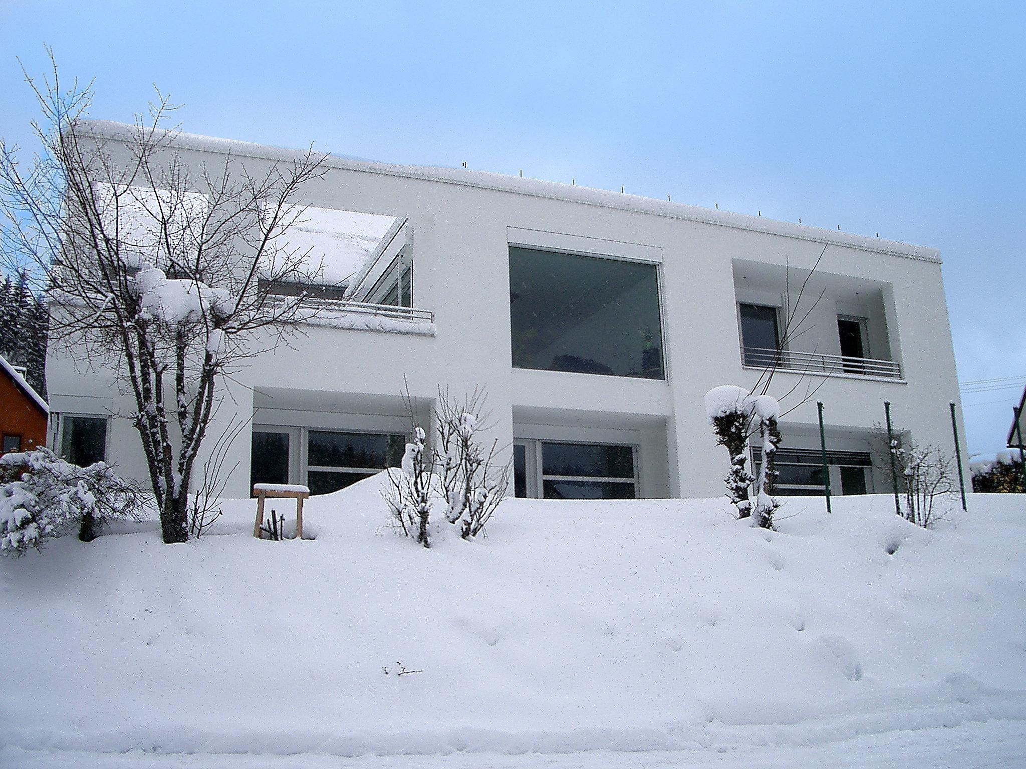 Photo 11 - Appartement de 1 chambre à Eisenbach (Hochschwarzwald) avec jardin et vues sur la montagne