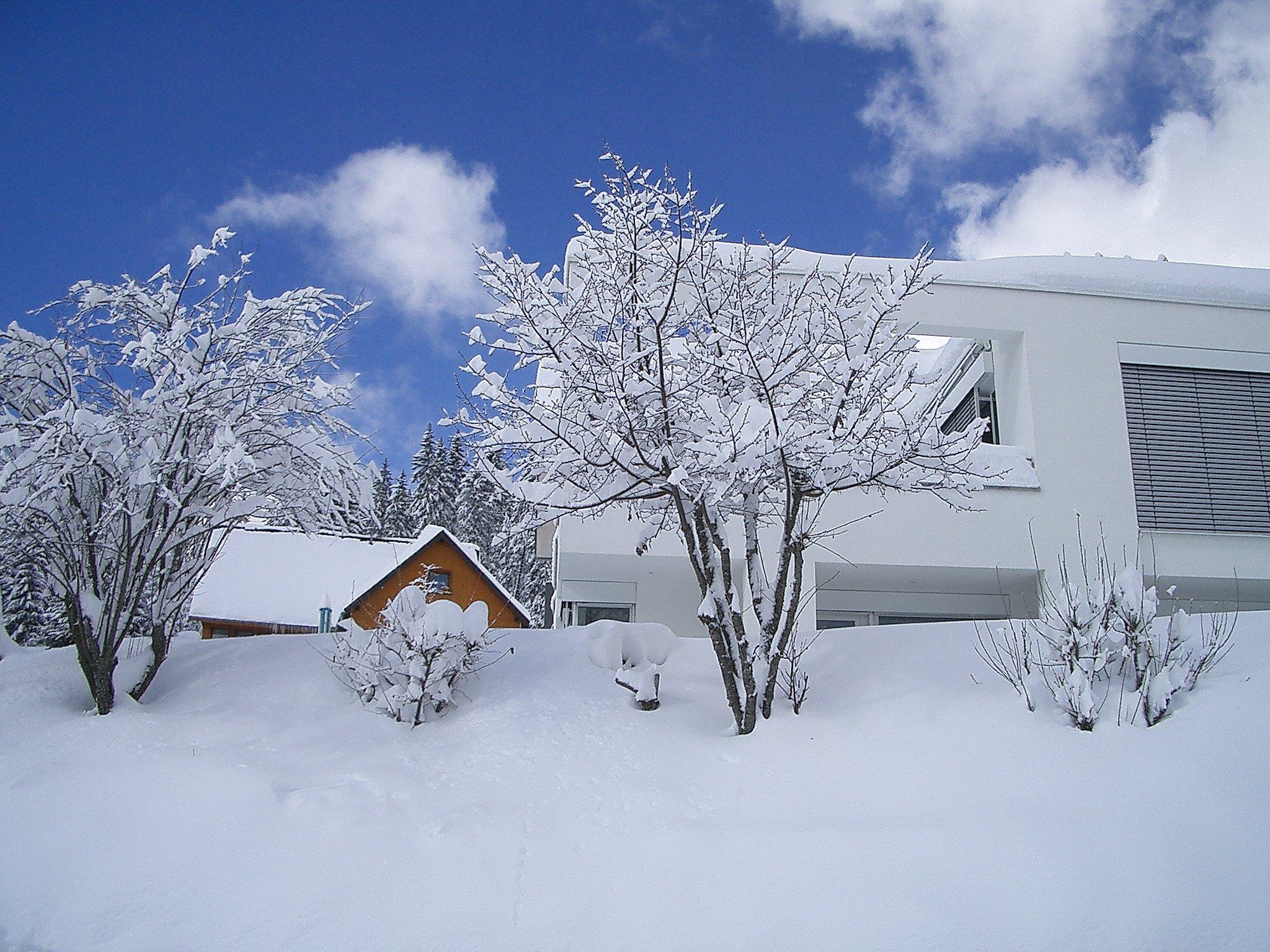 Foto 12 - Apartamento de 1 habitación en Eisenbach (Hochschwarzwald) con jardín y vistas a la montaña