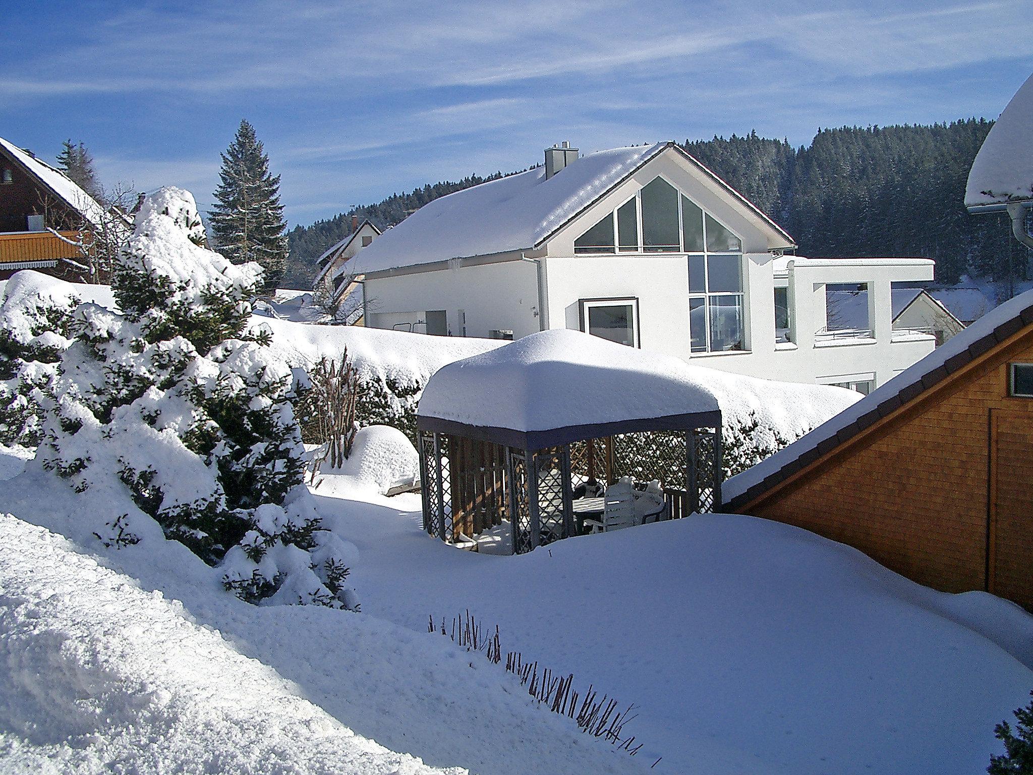 Foto 10 - Apartamento de 1 quarto em Eisenbach (Hochschwarzwald) com jardim e vista para a montanha