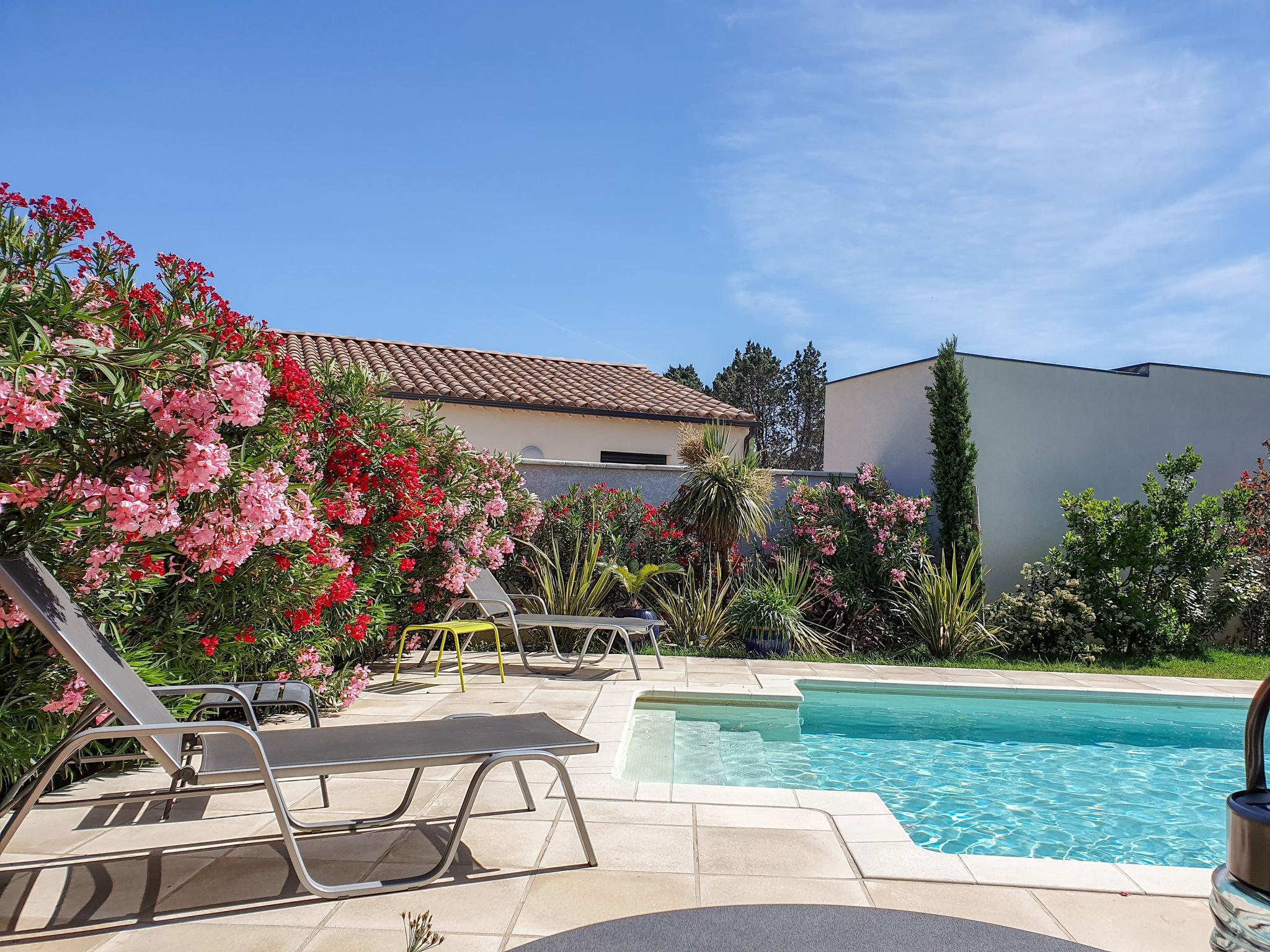 Foto 2 - Casa con 2 camere da letto a Morières-lès-Avignon con piscina privata e terrazza