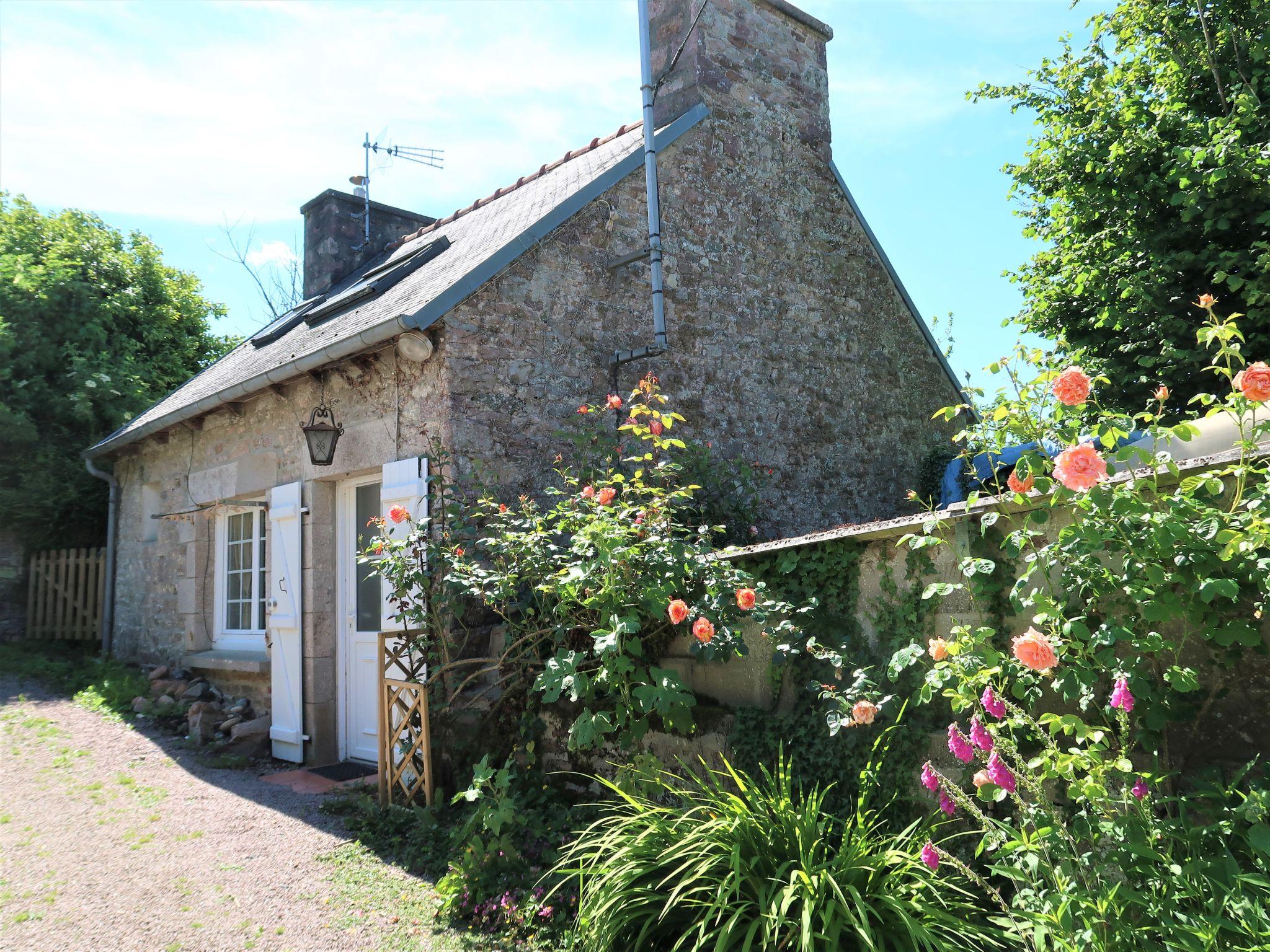 Photo 21 - Maison de 2 chambres à Paimpol avec jardin