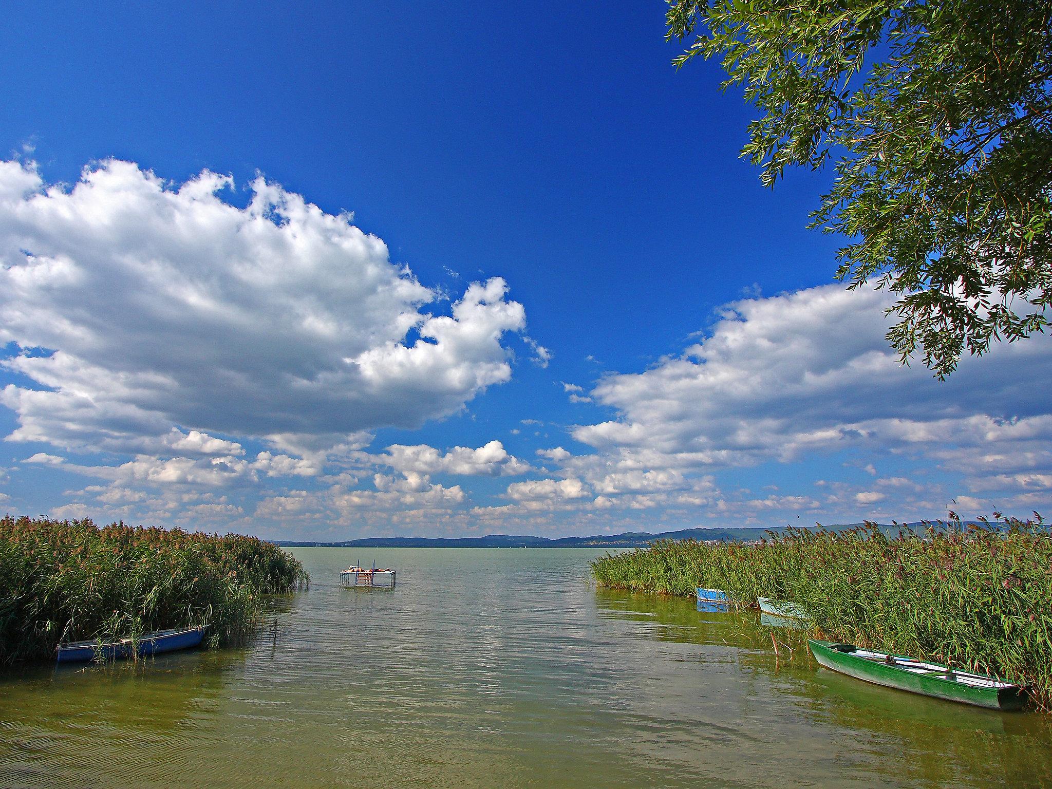 Photo 11 - 4 bedroom House in Balatonberény with private pool and garden