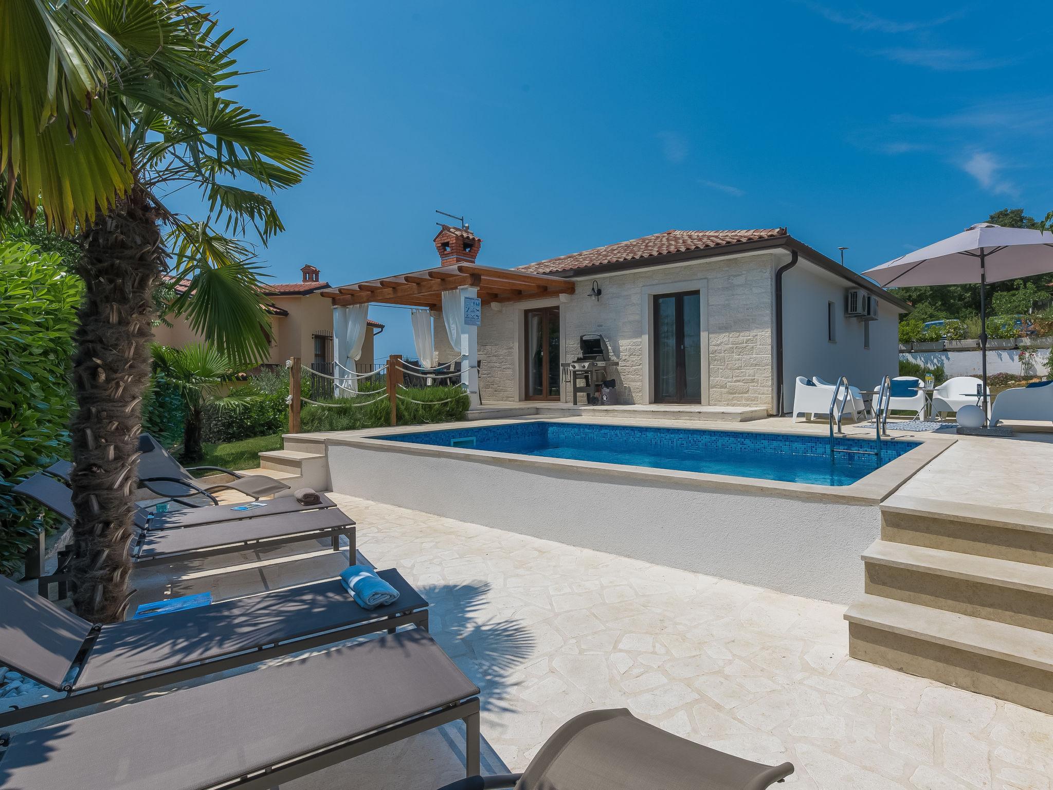 Photo 1 - Maison de 3 chambres à Brtonigla avec piscine privée et jardin