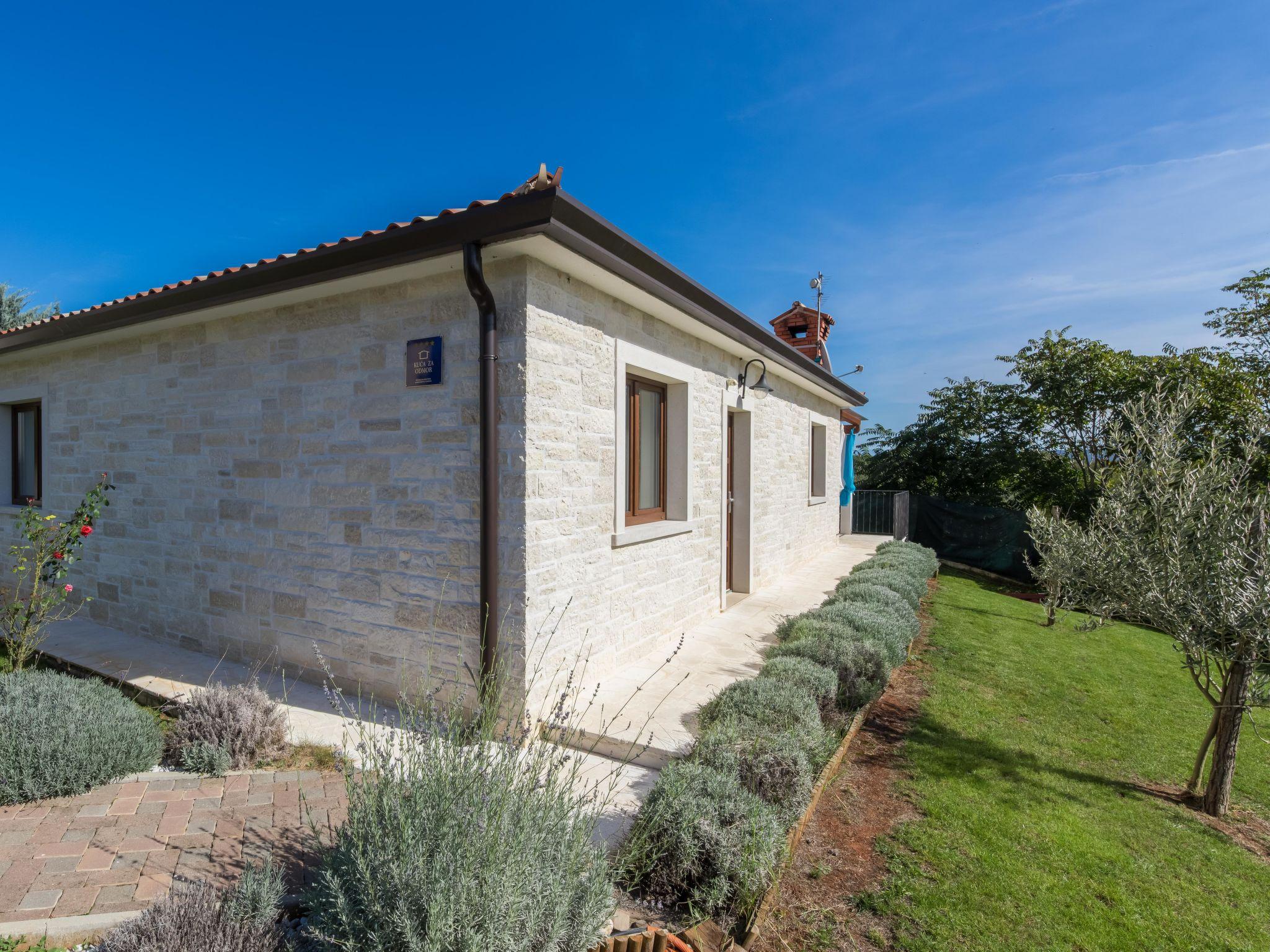 Foto 36 - Casa con 3 camere da letto a Brtonigla con piscina privata e giardino