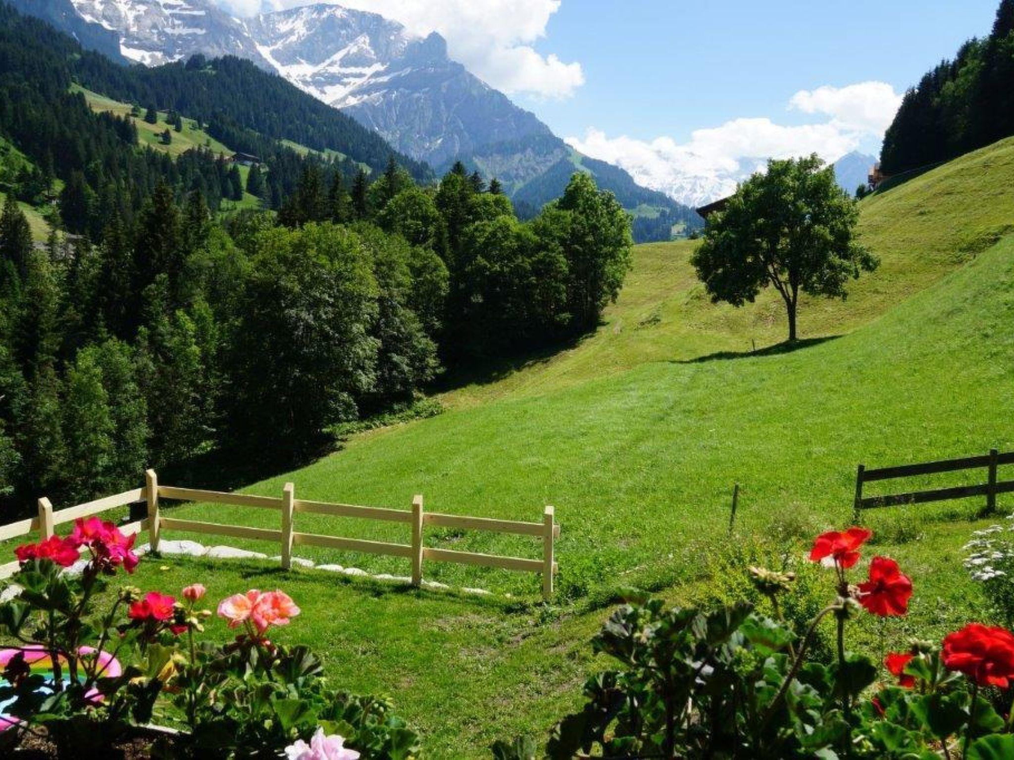 Photo 11 - Appartement de 3 chambres à Adelboden avec jardin