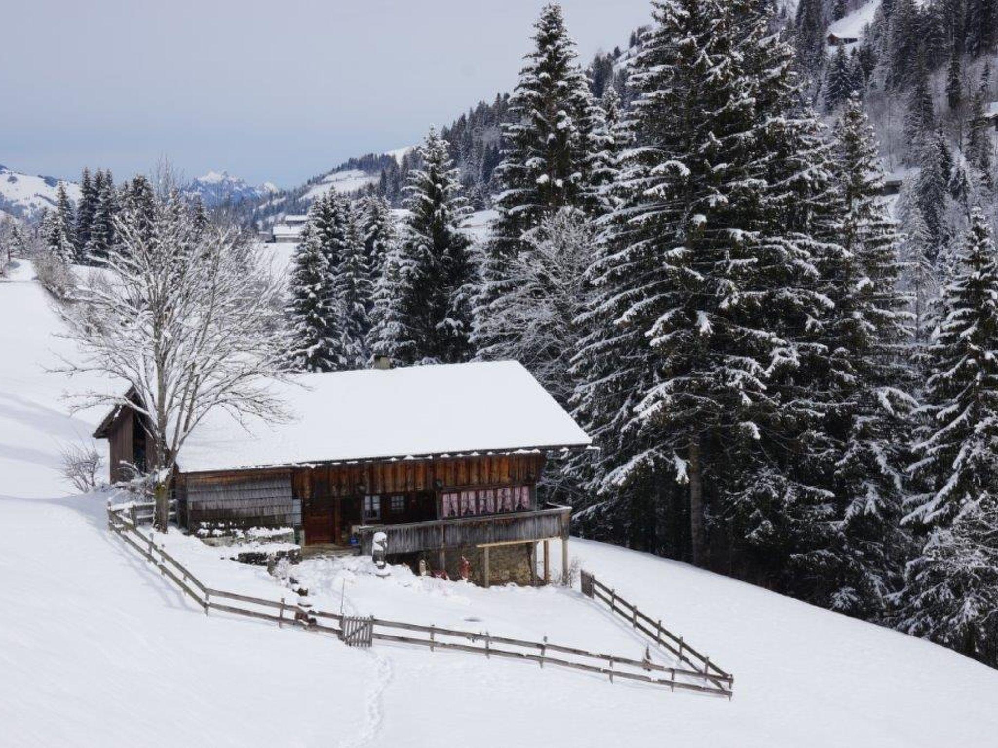 Photo 21 - Appartement de 3 chambres à Adelboden avec jardin