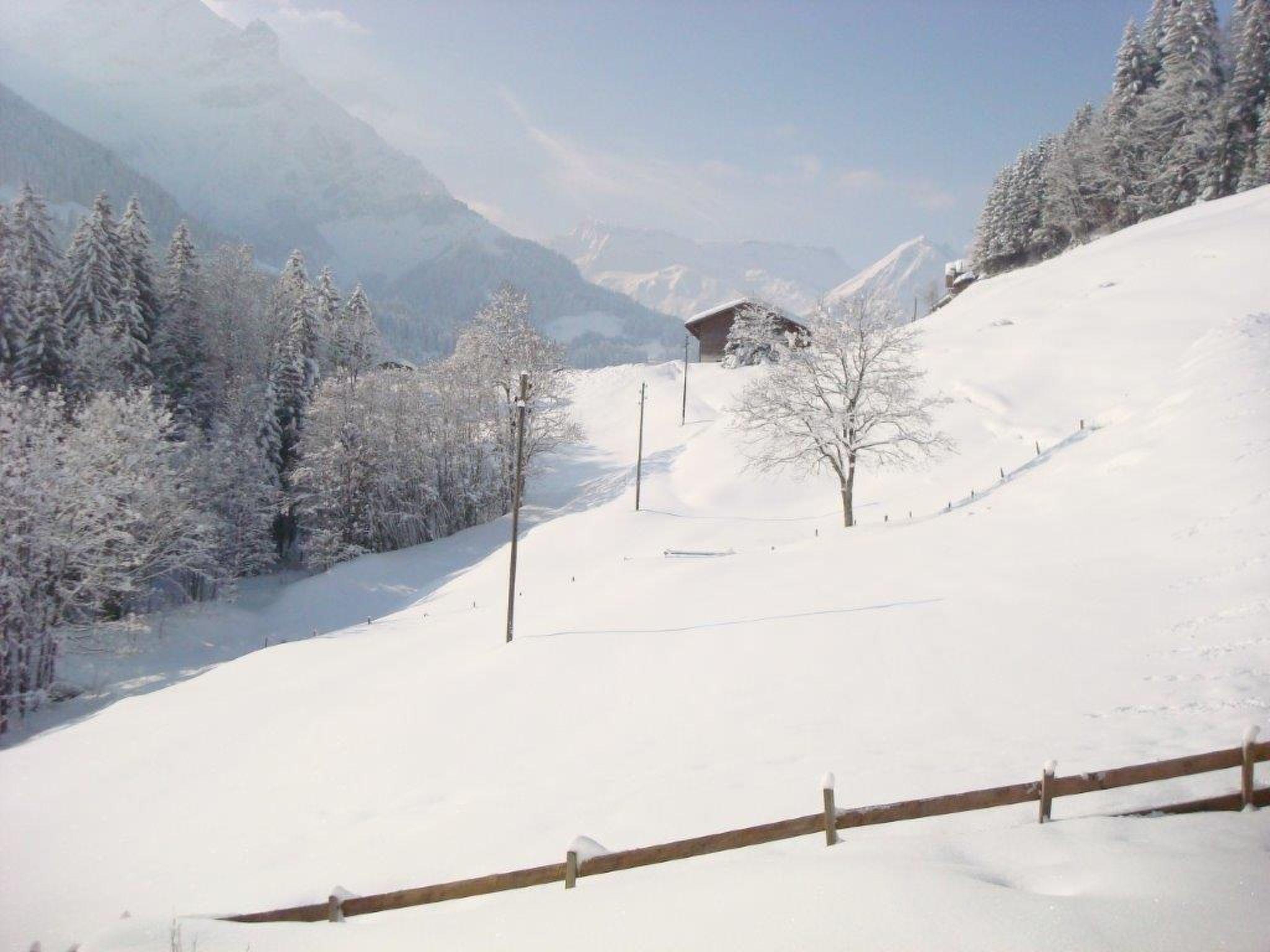 Photo 22 - Appartement de 3 chambres à Adelboden avec jardin