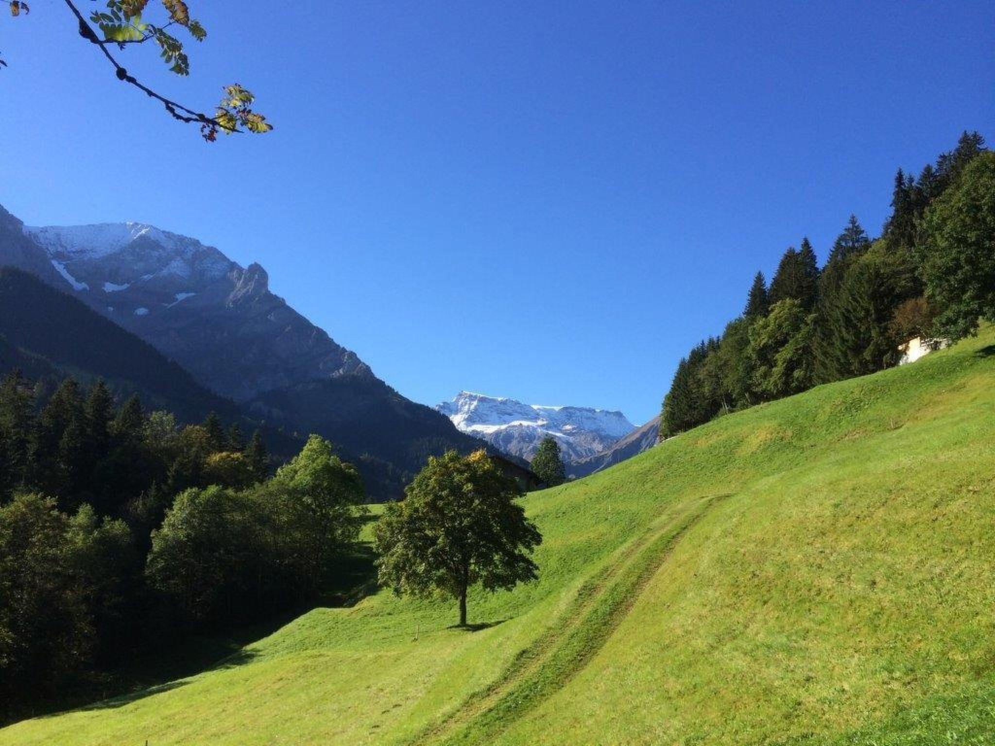 Foto 17 - Apartamento de 3 habitaciones en Adelboden con jardín