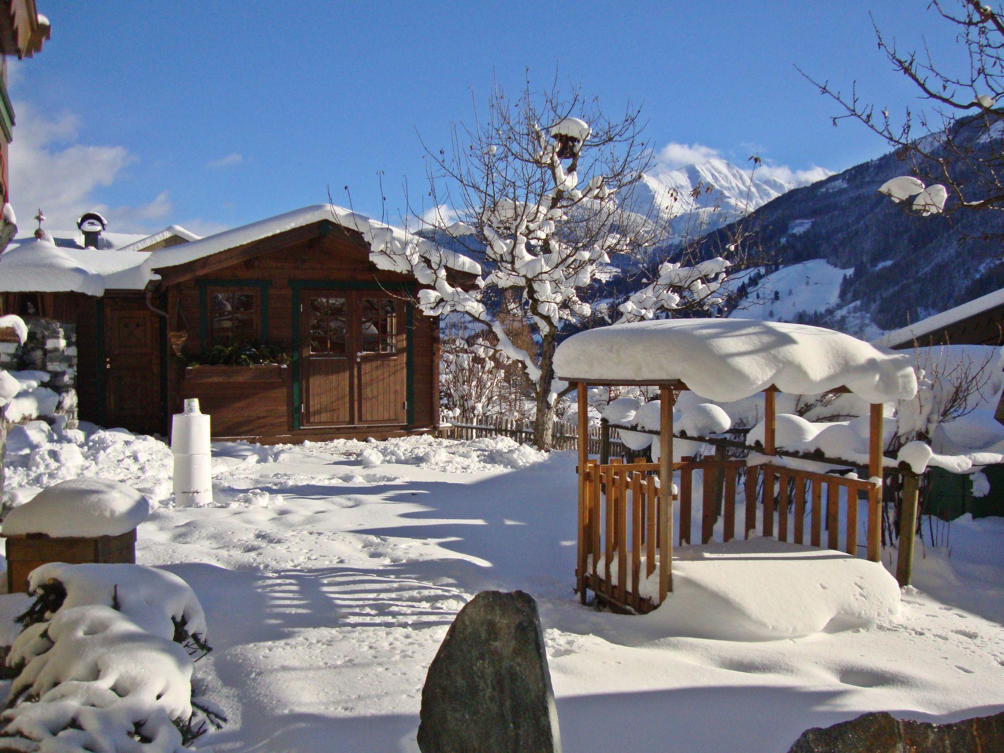 Photo 27 - Appartement de 2 chambres à Mittersill avec jardin et vues sur la montagne