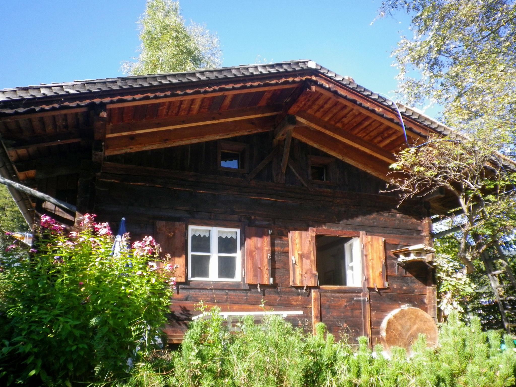 Foto 16 - Haus mit 1 Schlafzimmer in Trins mit garten und blick auf die berge