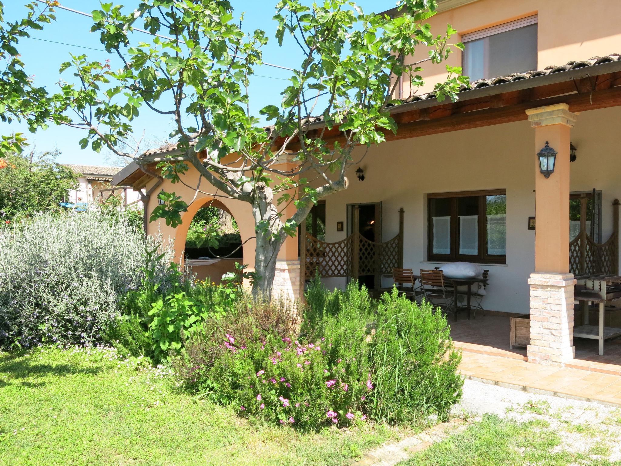 Foto 1 - Apartamento de 1 habitación en Collecorvino con piscina y jardín