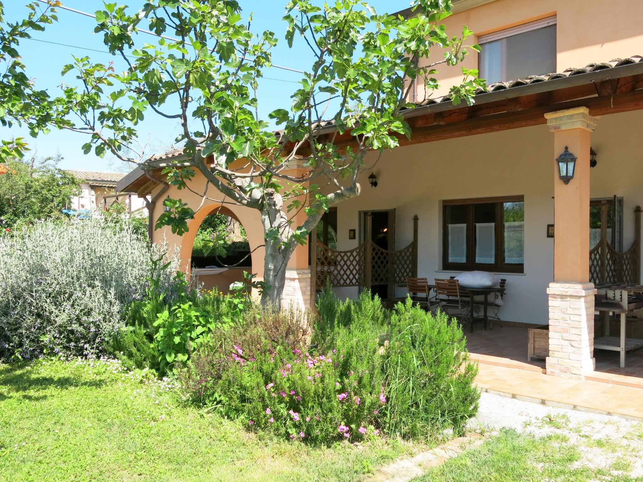 Photo 1 - Appartement de 1 chambre à Collecorvino avec piscine et jardin