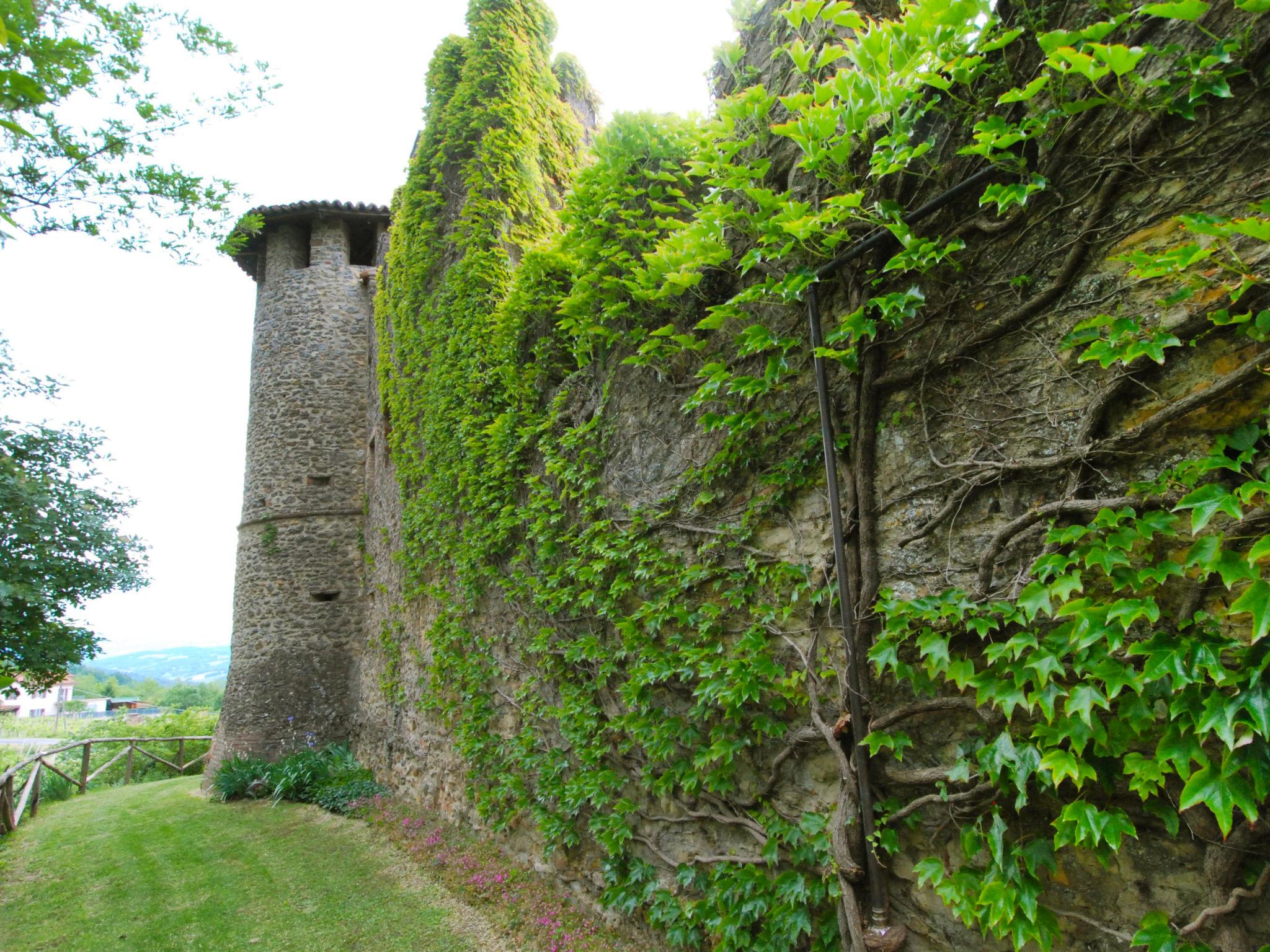 Photo 35 - 1 bedroom Apartment in Carpaneto Piacentino with garden