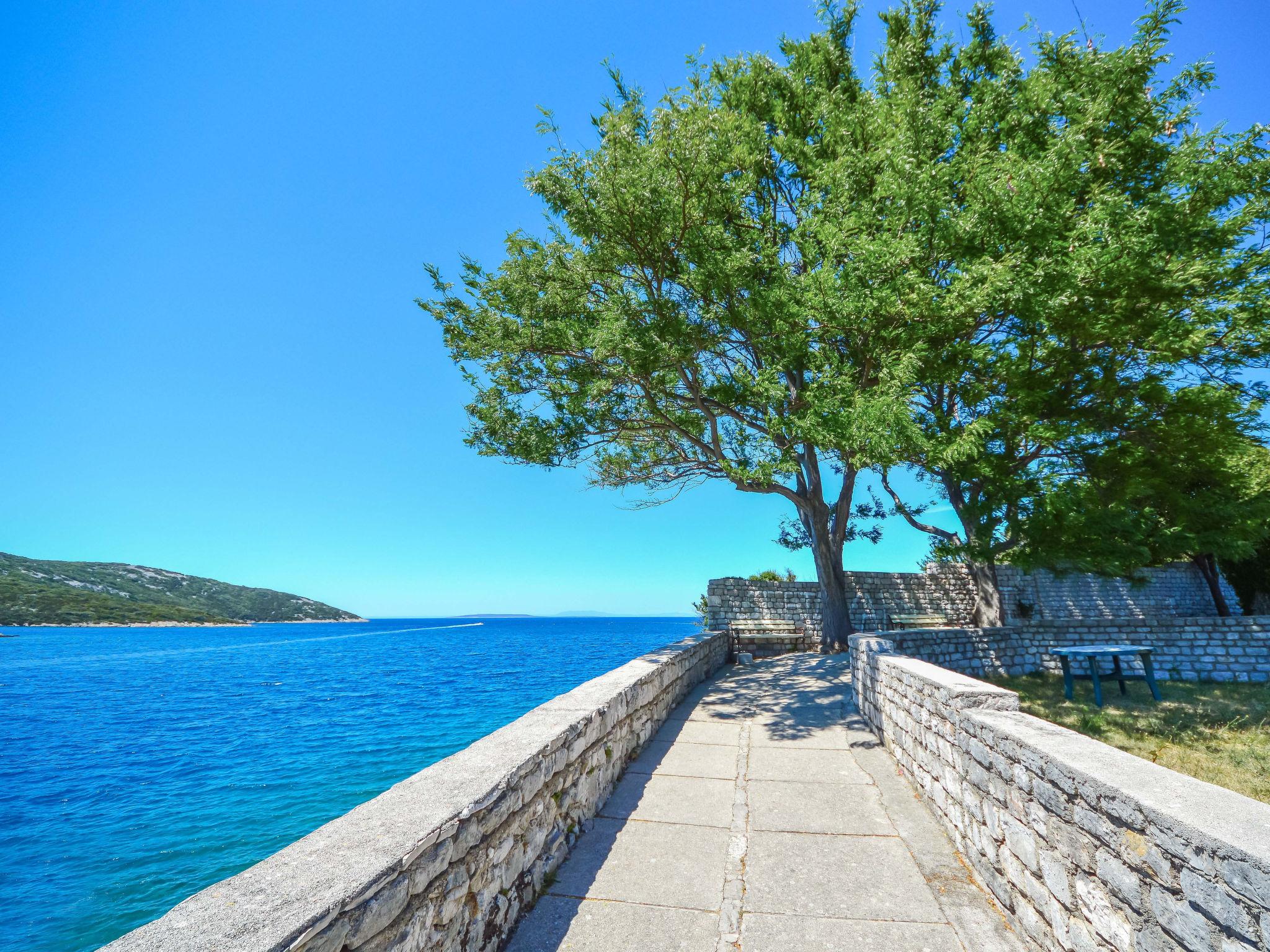 Photo 19 - Maison de 2 chambres à Mali Lošinj avec jardin et terrasse