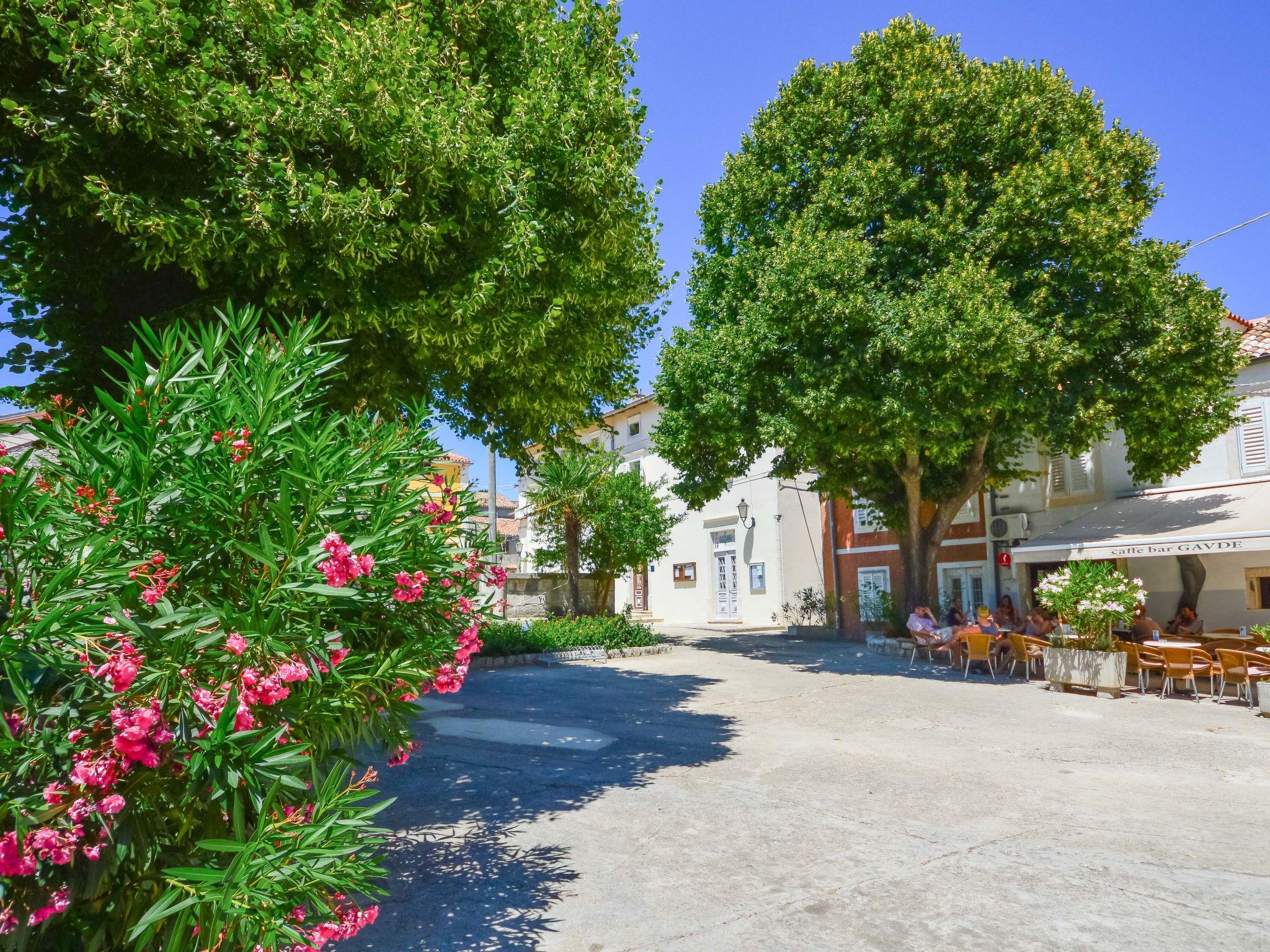 Photo 21 - Maison de 2 chambres à Mali Lošinj avec jardin et terrasse