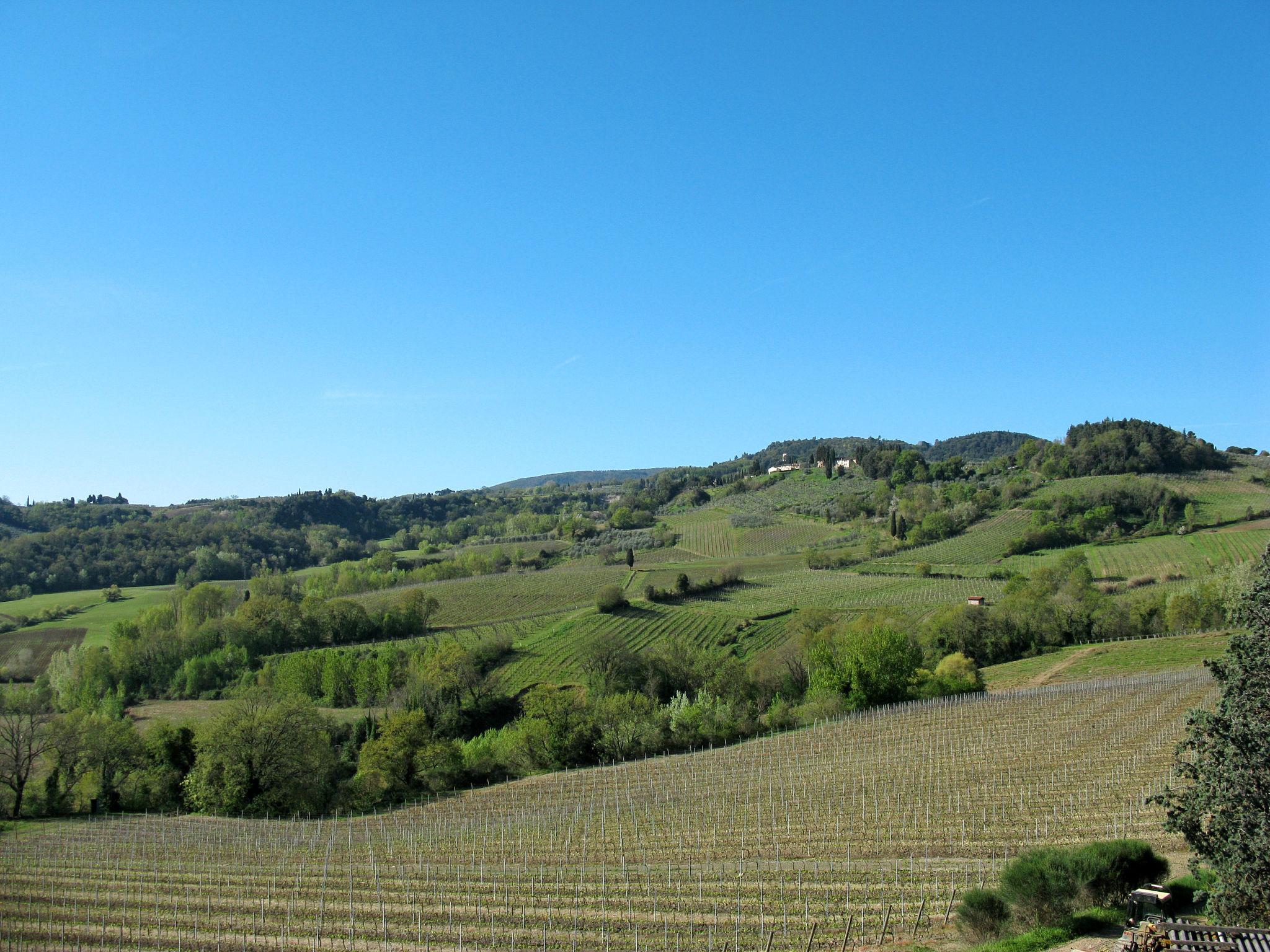 Foto 31 - Appartamento con 2 camere da letto a San Gimignano con piscina e giardino