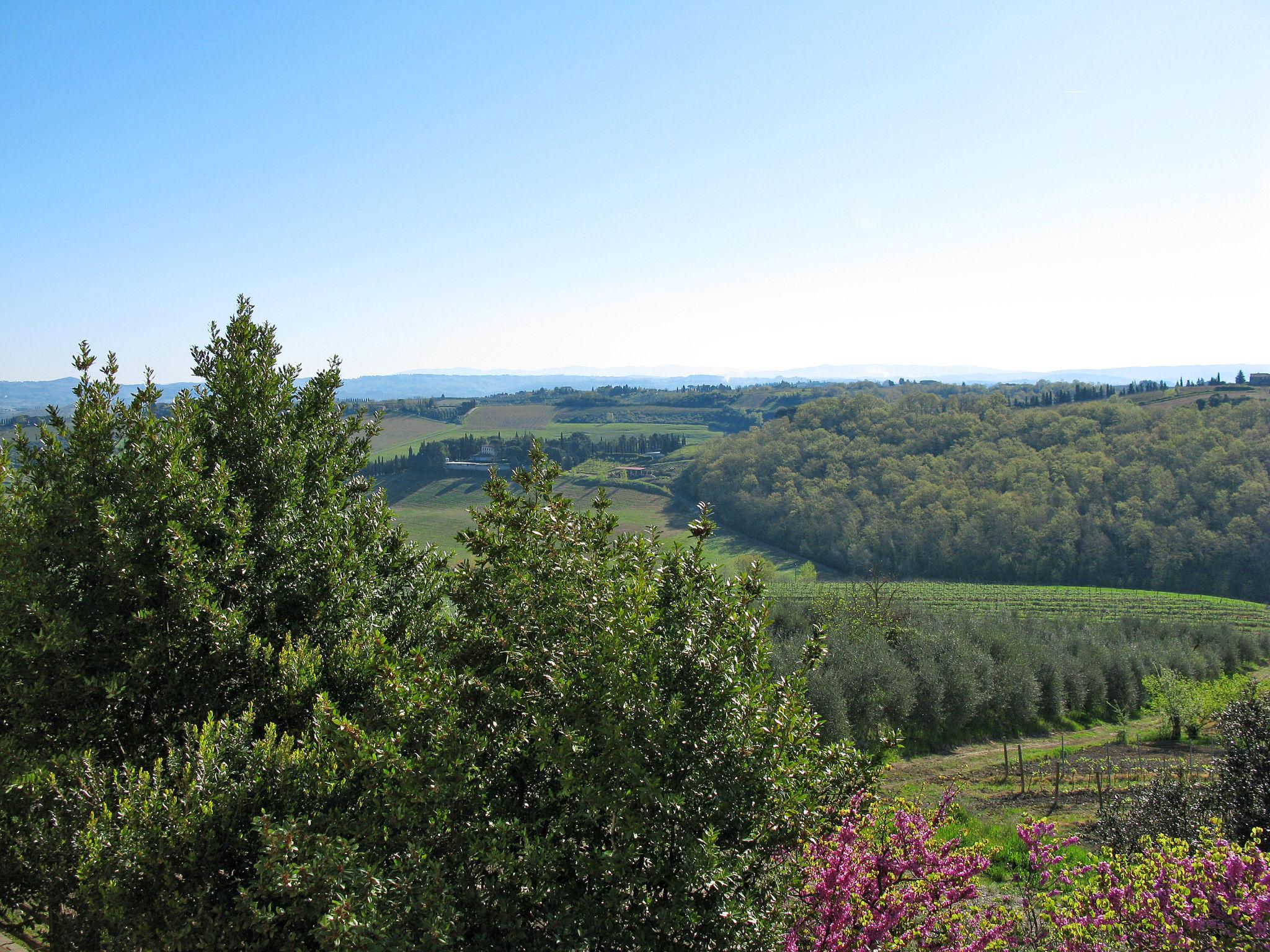 Photo 40 - 2 bedroom Apartment in San Gimignano with swimming pool and garden