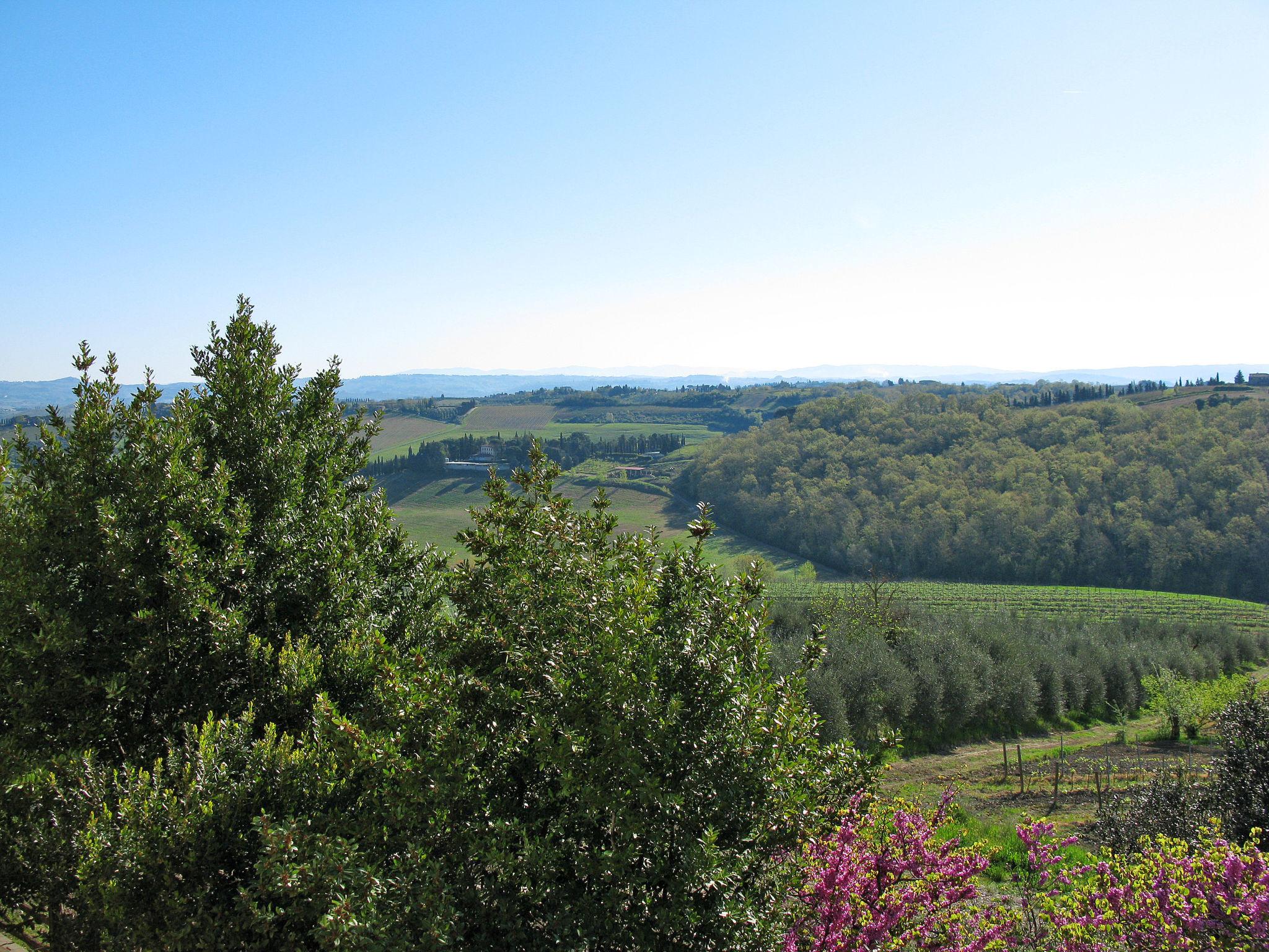 Foto 40 - Appartamento con 2 camere da letto a San Gimignano con piscina e giardino