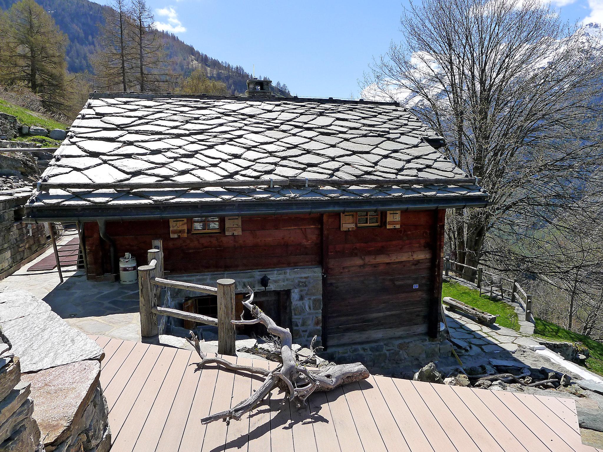 Photo 22 - Maison de 2 chambres à Staldenried avec jardin et vues sur la montagne