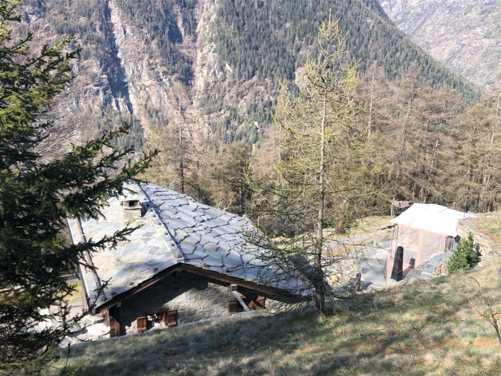 Photo 26 - Maison de 2 chambres à Staldenried avec jardin et vues sur la montagne