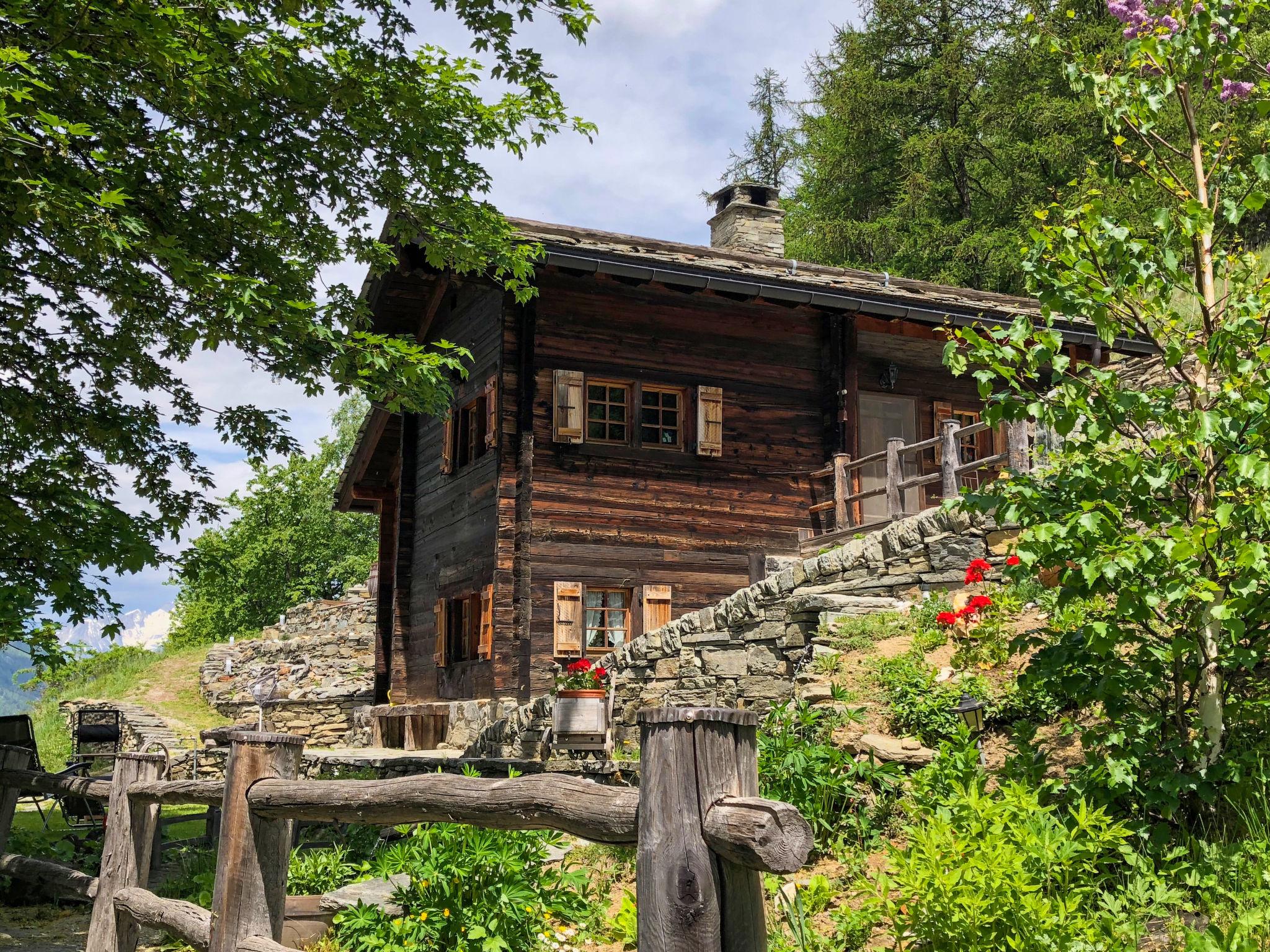 Photo 17 - Maison de 2 chambres à Staldenried avec jardin et sauna