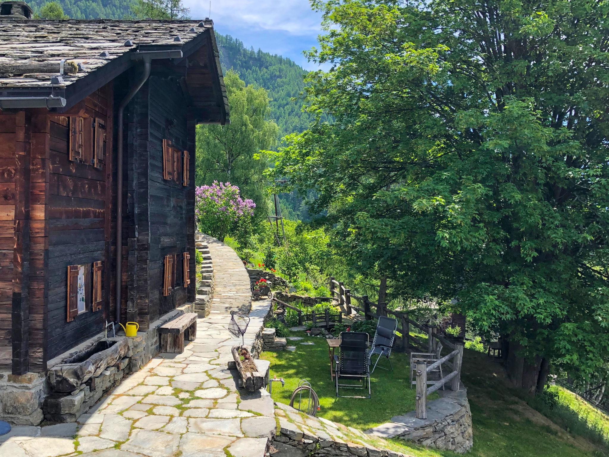 Photo 15 - Maison de 2 chambres à Staldenried avec jardin et vues sur la montagne