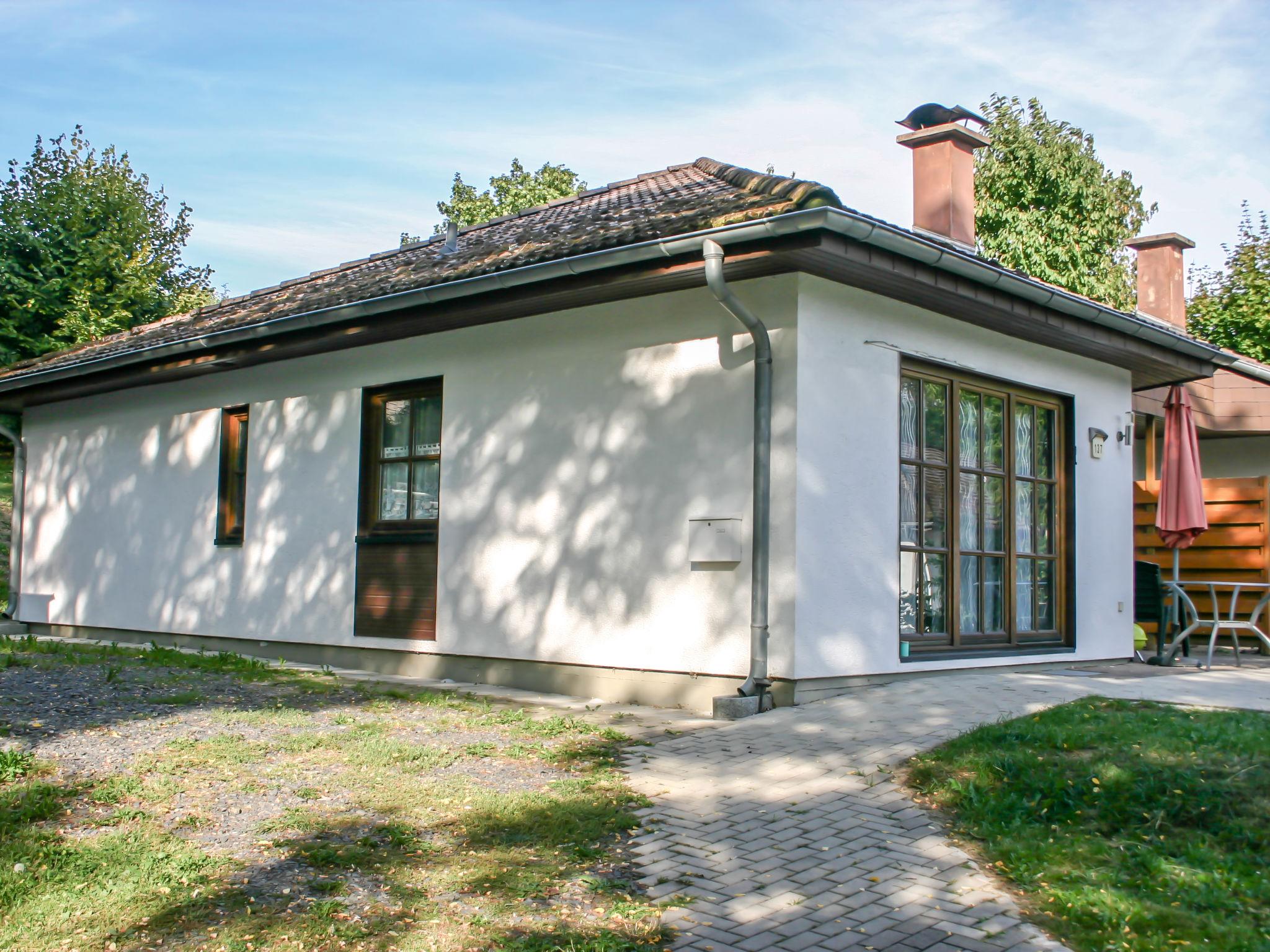 Photo 20 - Maison de 3 chambres à Frankenau avec terrasse et vues sur la montagne