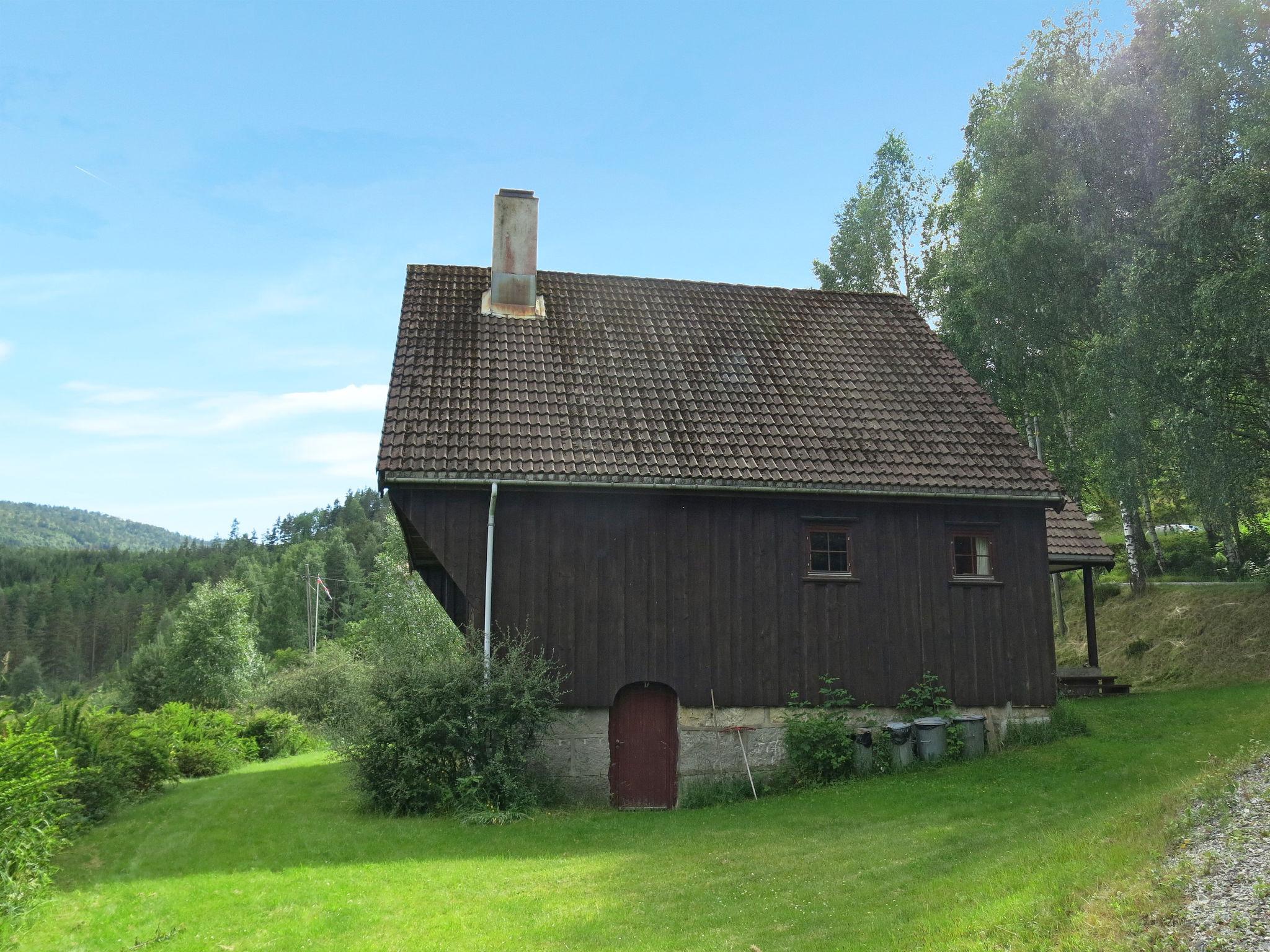 Foto 17 - Haus mit 4 Schlafzimmern in Froland Verk mit garten und terrasse