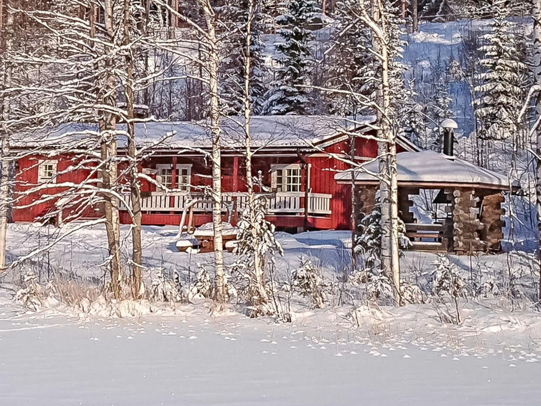 Photo 30 - Maison de 2 chambres à Hartola avec sauna