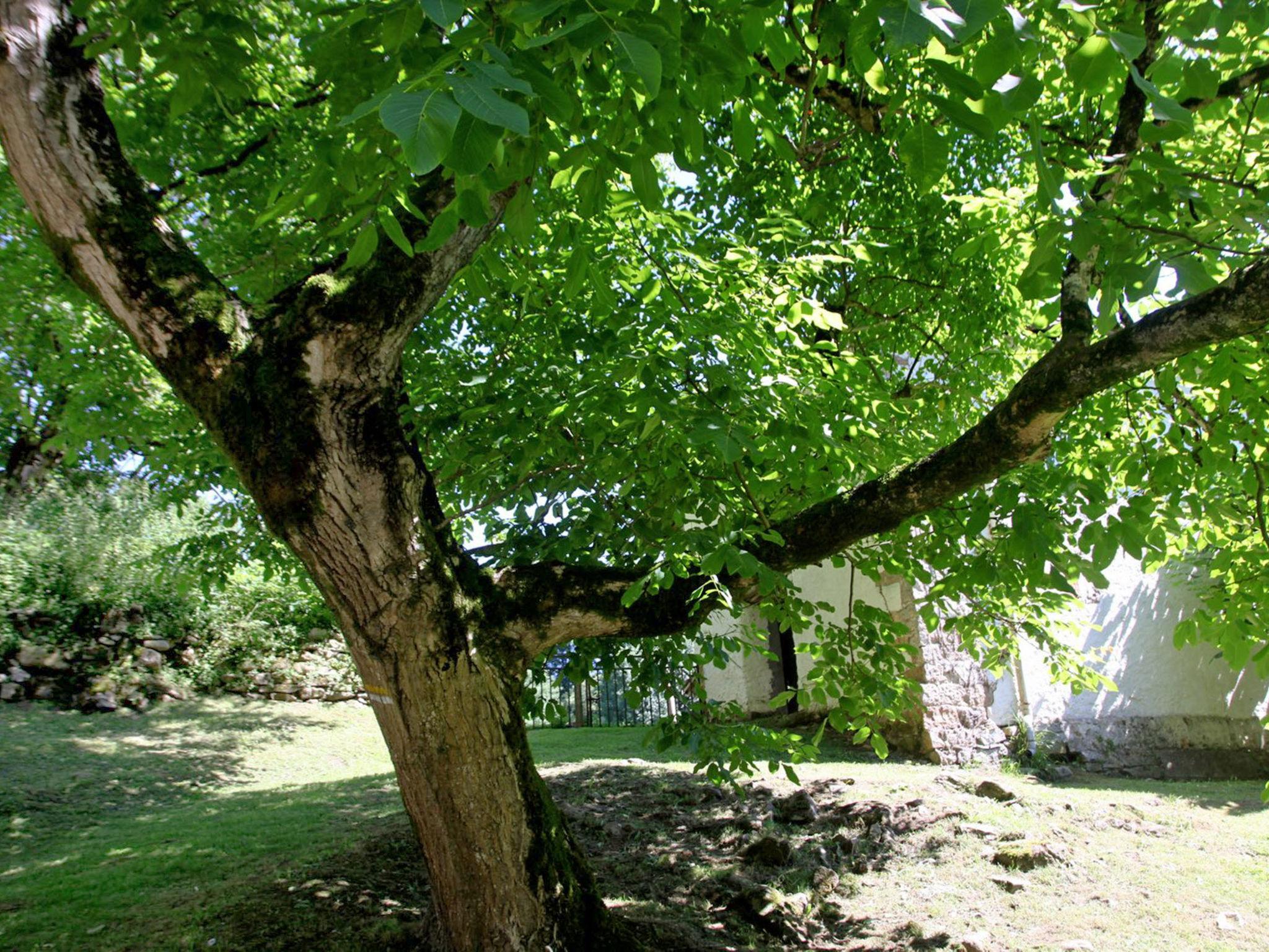 Foto 19 - Casa de 2 quartos em Bera com jardim e terraço