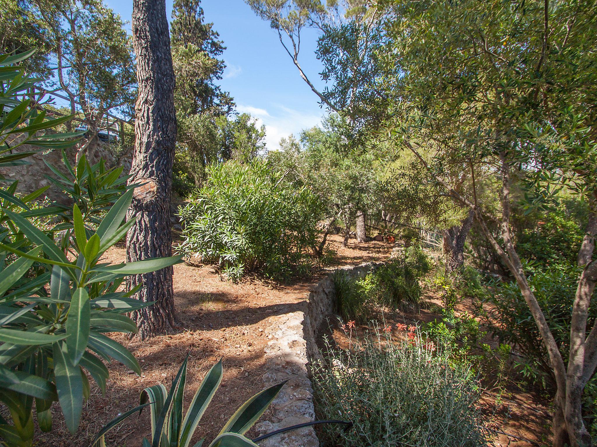 Photo 38 - Maison de 5 chambres à Orbetello avec jardin et terrasse