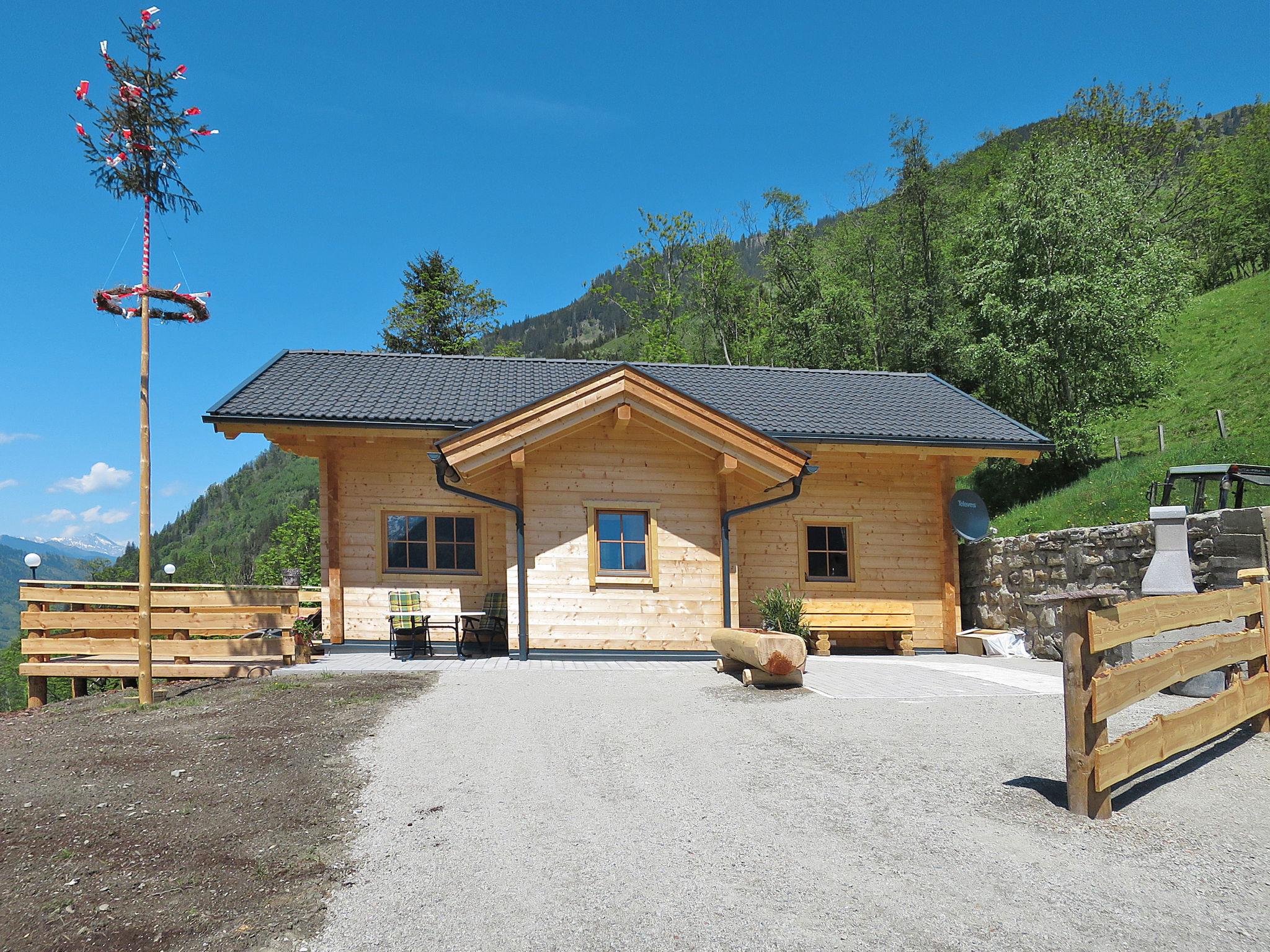 Photo 2 - Maison de 1 chambre à Fusch an der Großglocknerstraße avec terrasse et vues sur la montagne